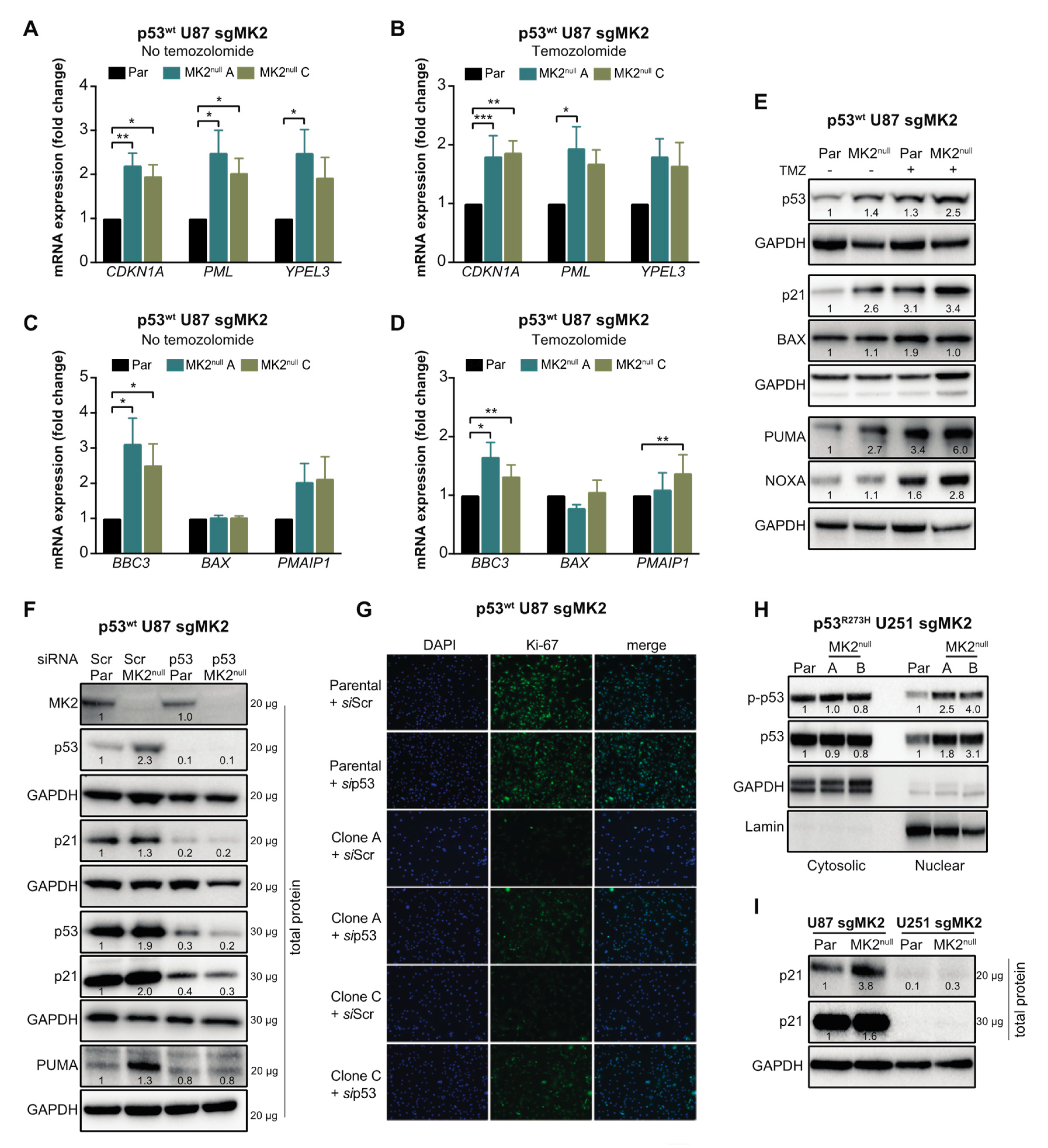 Cancers 12 00654 g005