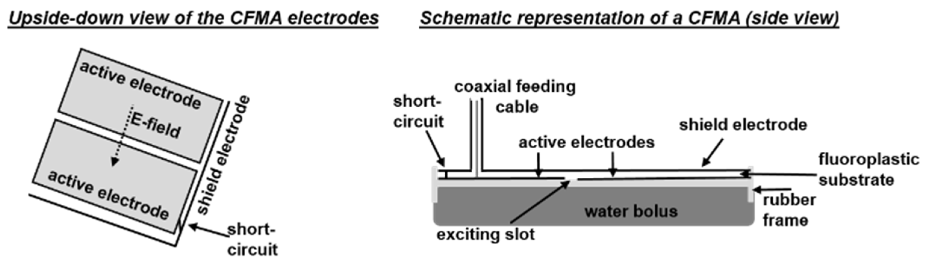 Cancers 12 00656 g002