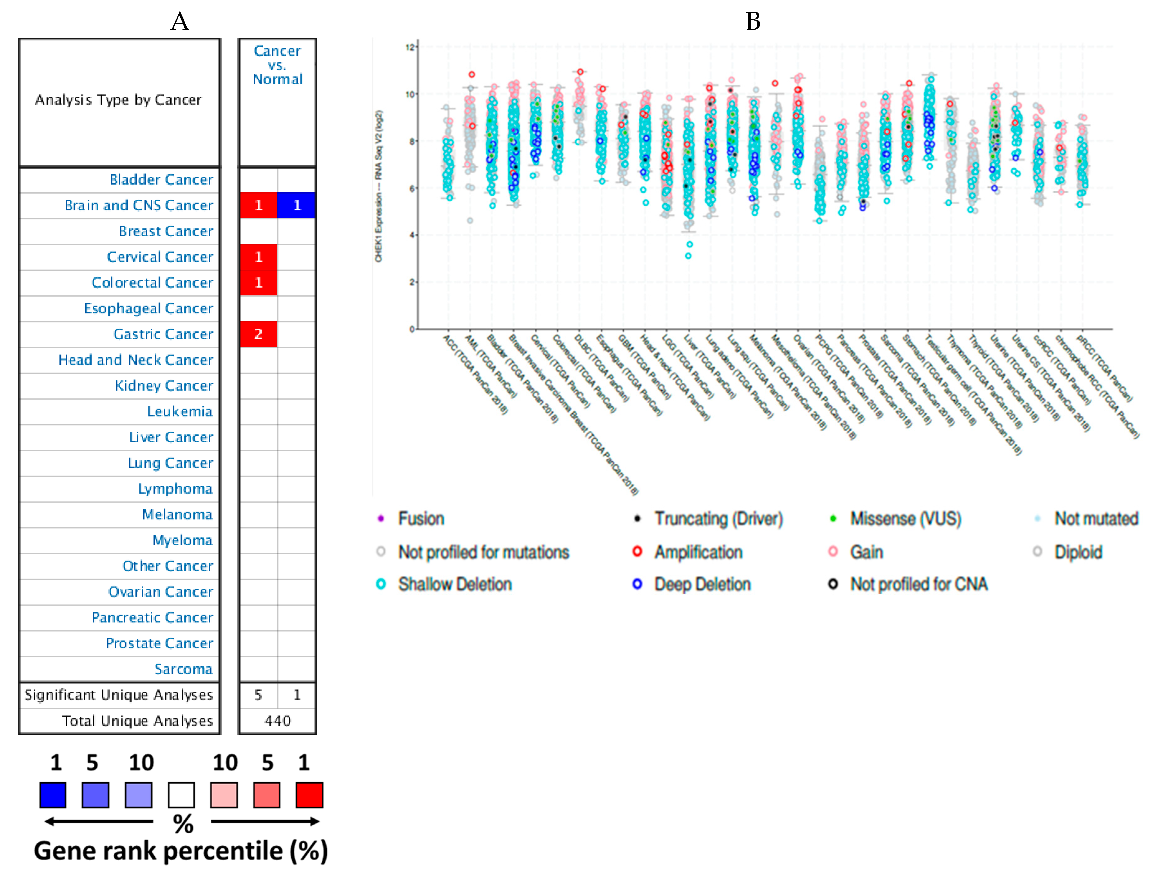 Cancers 12 00662 g001 Cancers 12 00662 g001