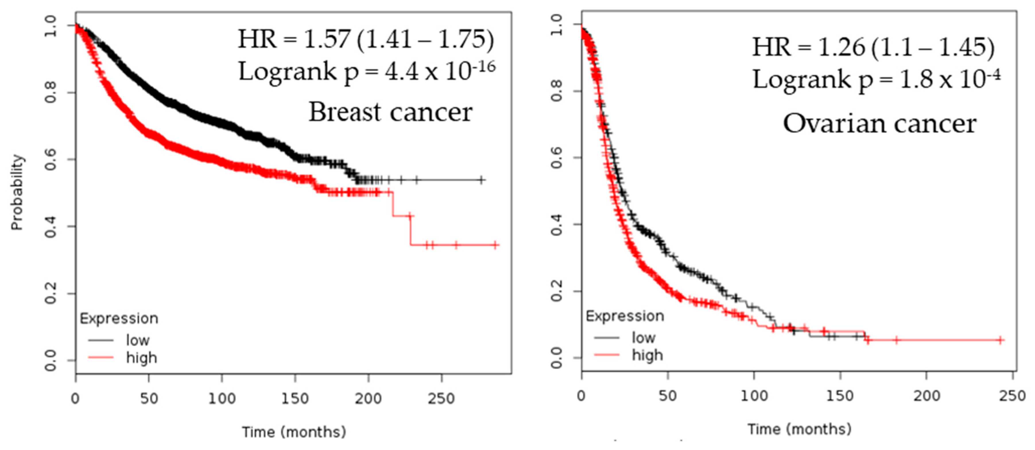 Cancers 12 00662 g003a Cancers 12 00662 g003a