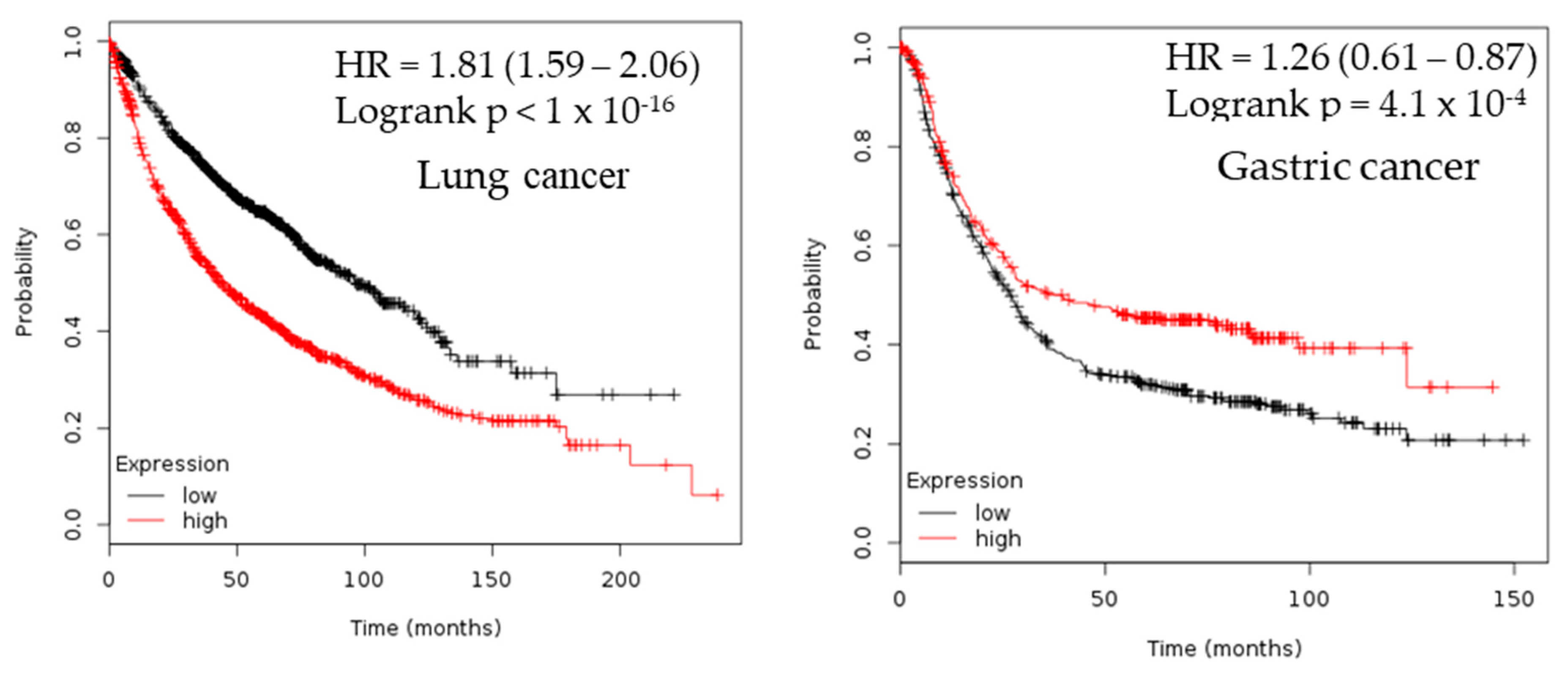 Cancers 12 00662 g003b Cancers 12 00662 g003b