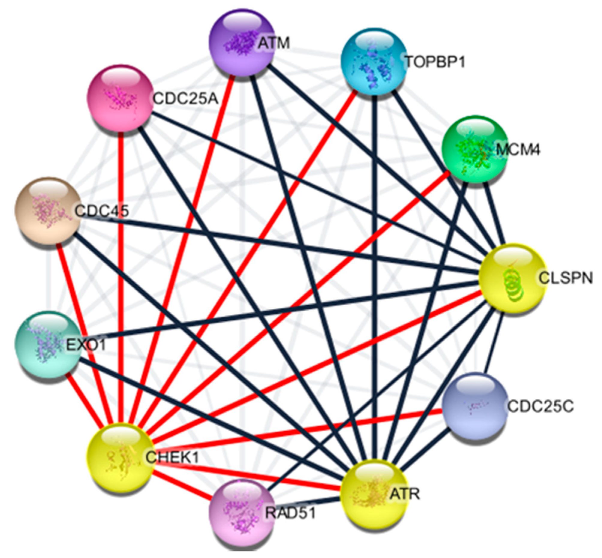Cancers 12 00662 g006 Cancers 12 00662 g006