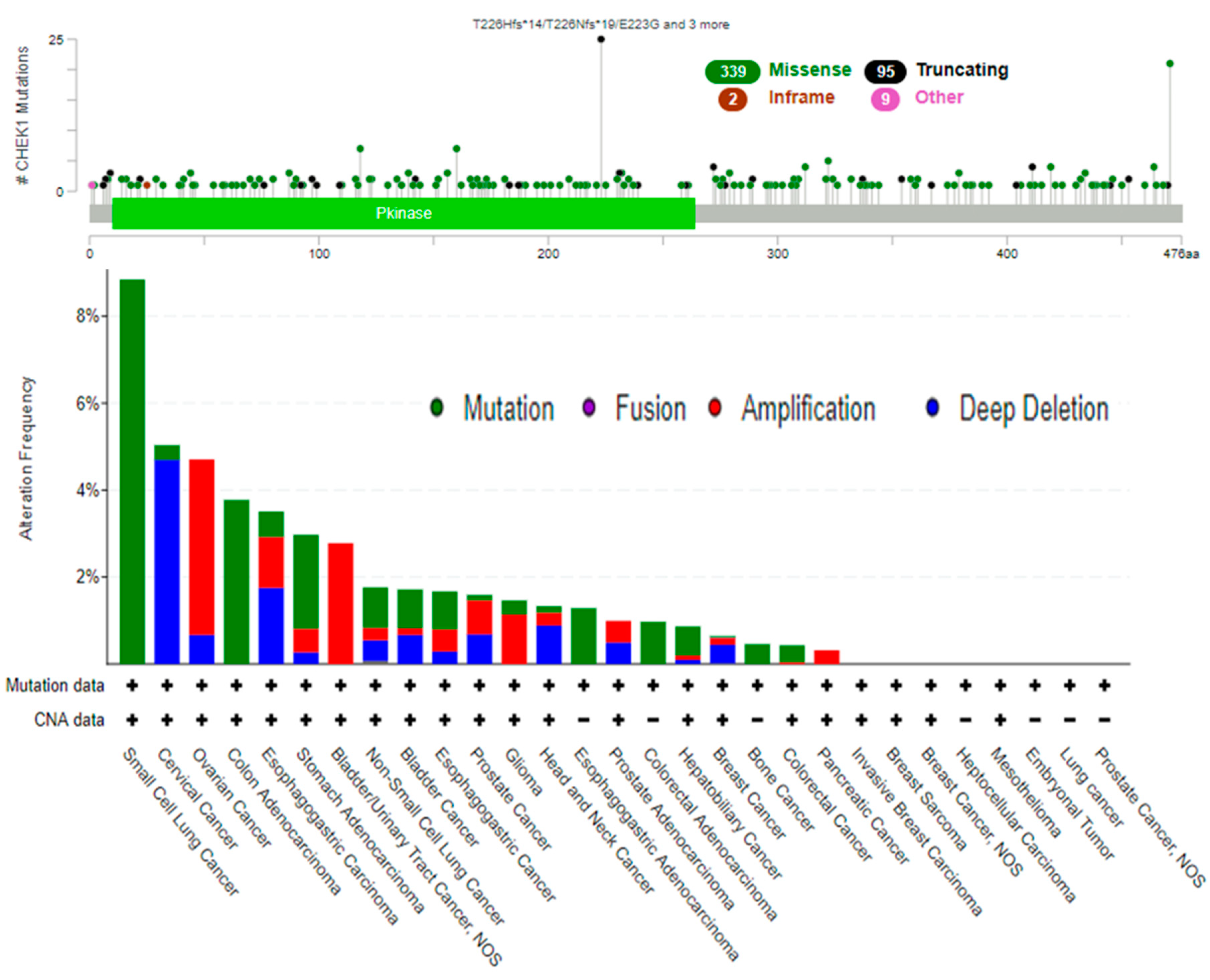 Cancers 12 00662 g007 Cancers 12 00662 g007