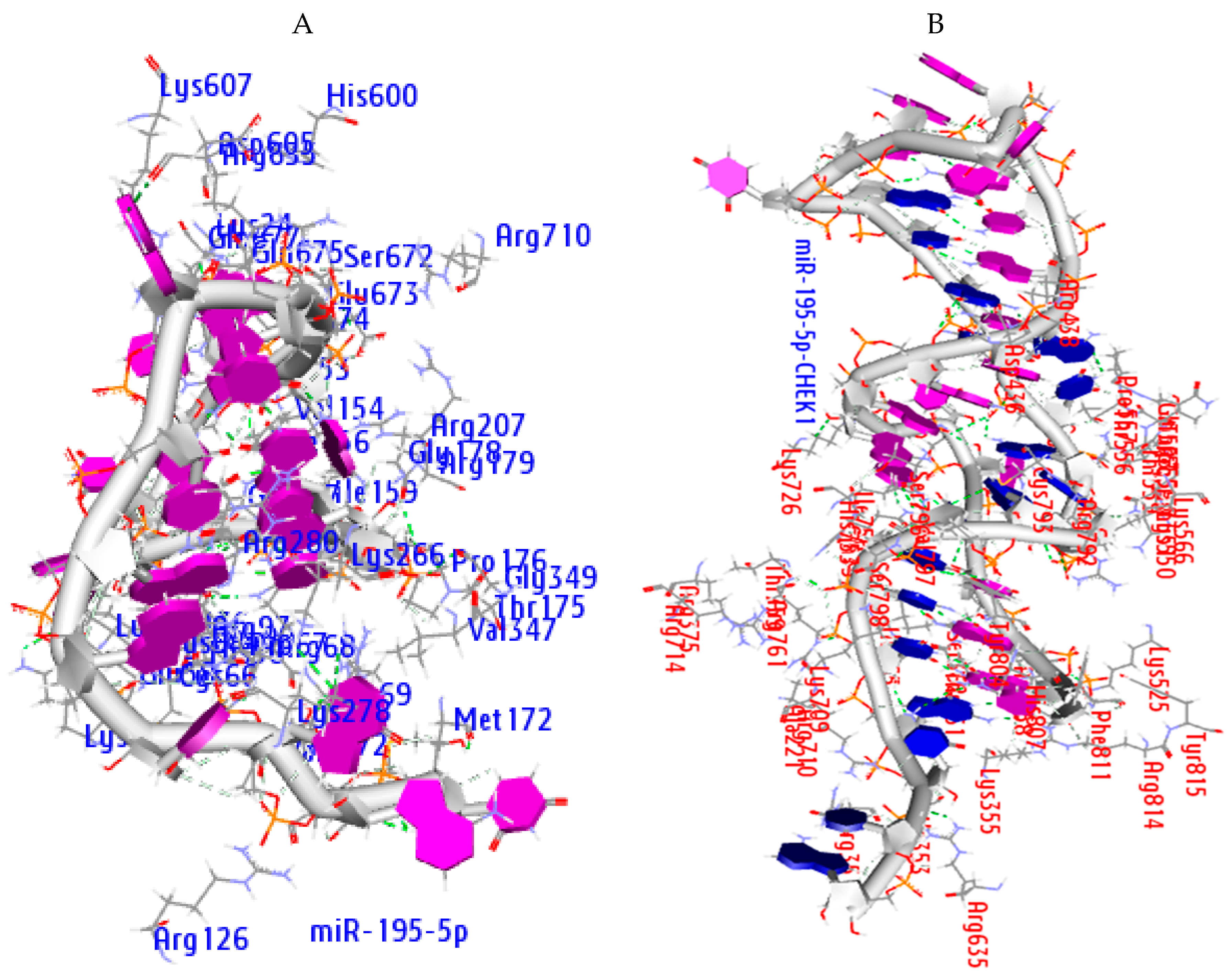 Cancers 12 00662 g011 Cancers 12 00662 g011