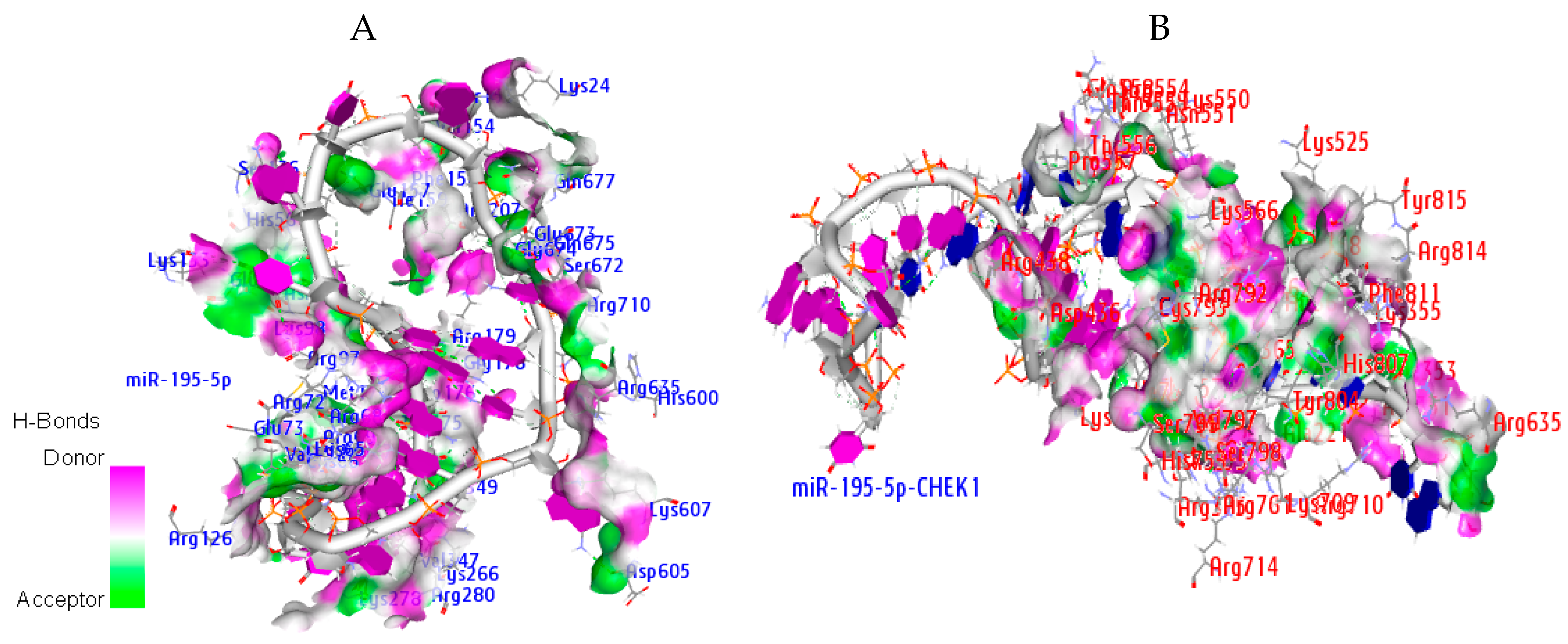 Cancers 12 00662 g012 Cancers 12 00662 g012