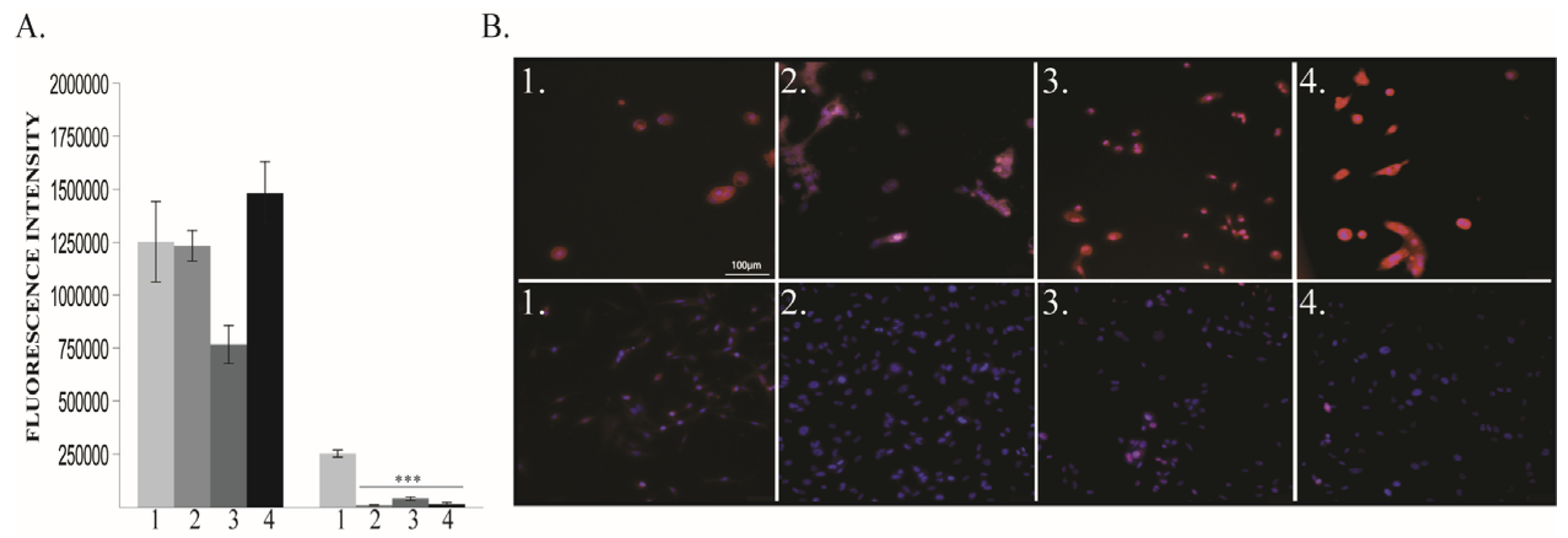 Cancers 12 00688 g005 Cancers 12 00688 g005