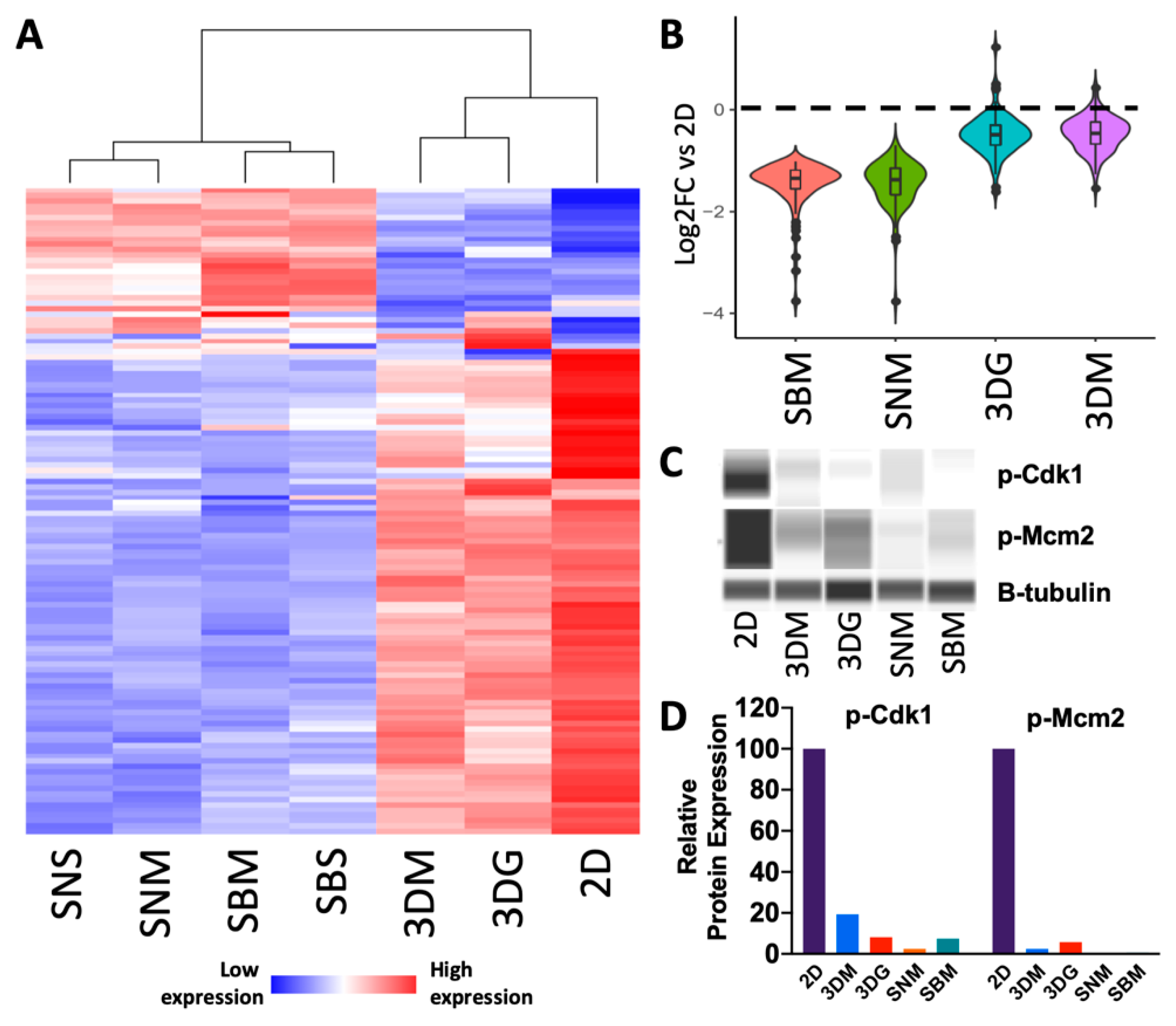 Cancers 12 00690 g003