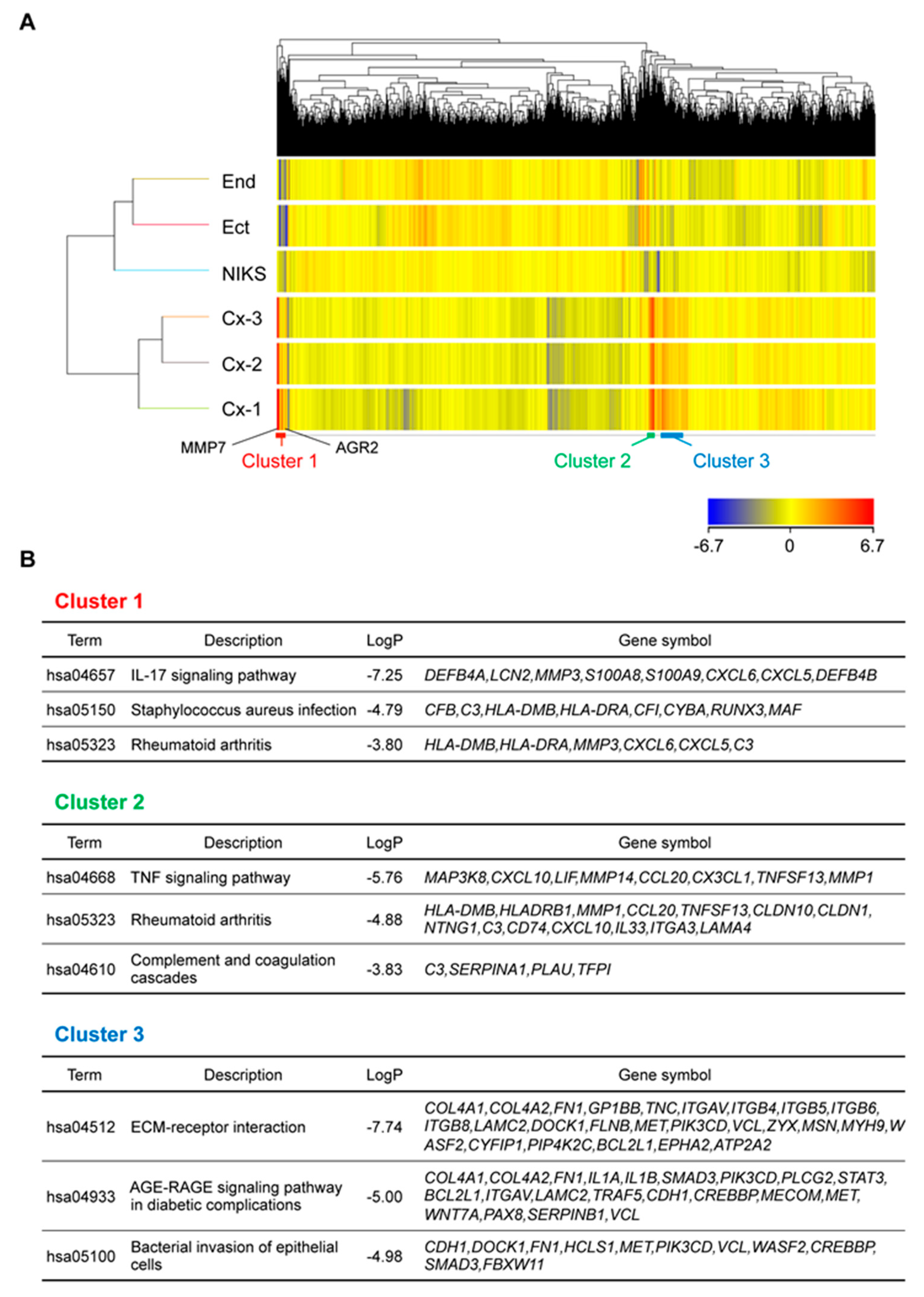 Cancers 12 00694 g004 Cancers 12 00694 g004