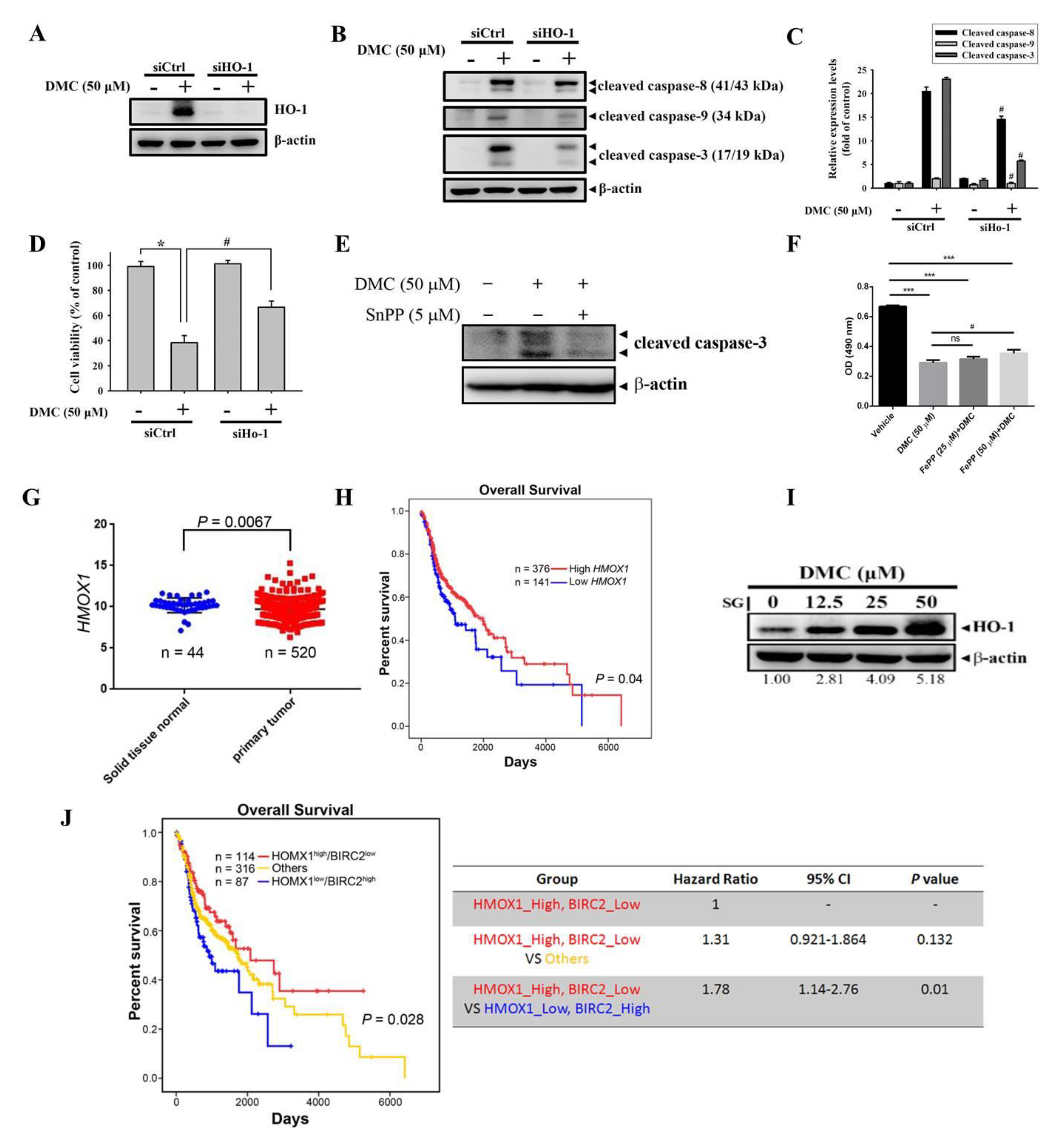 Cancers 12 00703 g004 Cancers 12 00703 g004