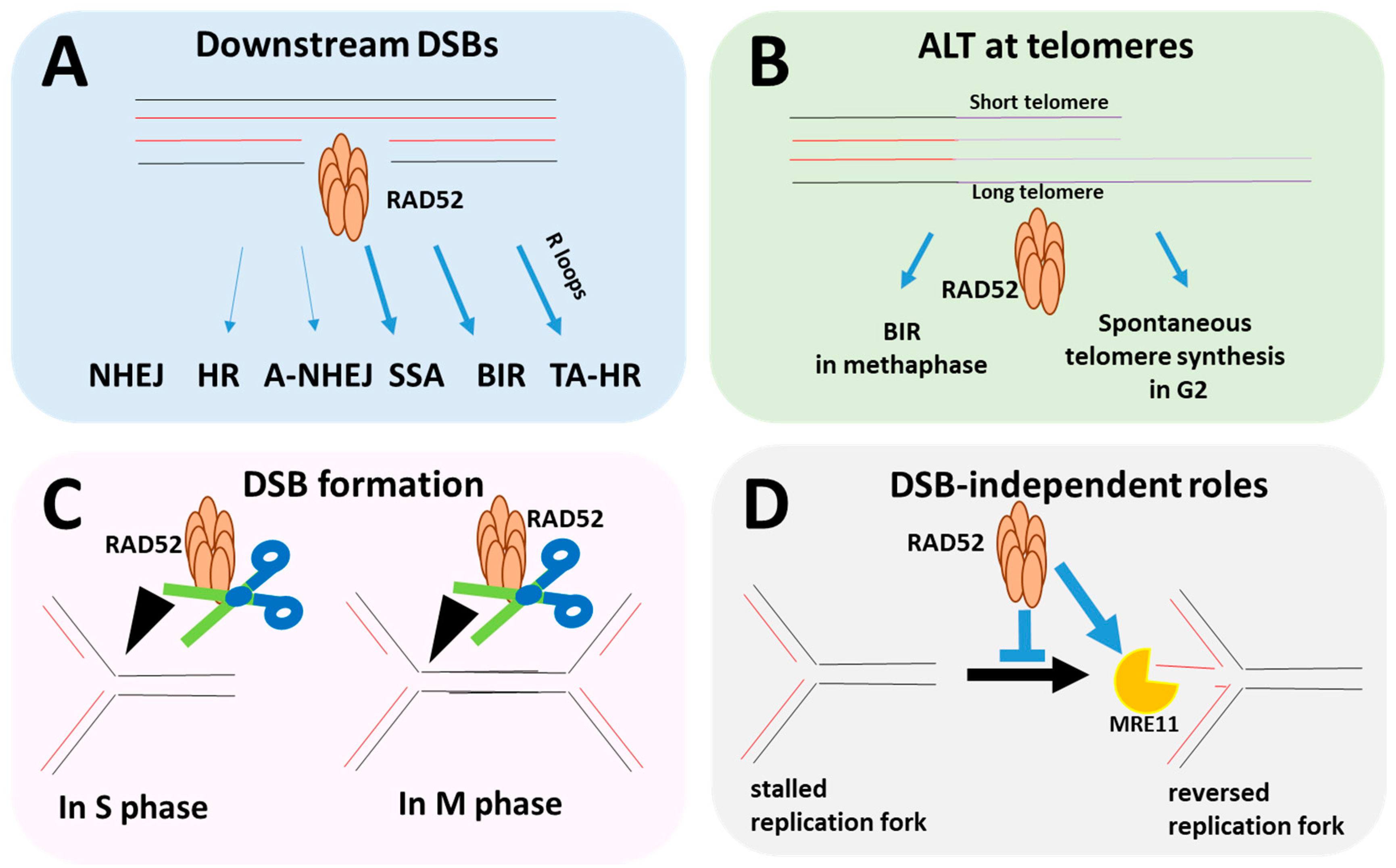 Cancers 12 00705 g001 Cancers 12 00705 g001