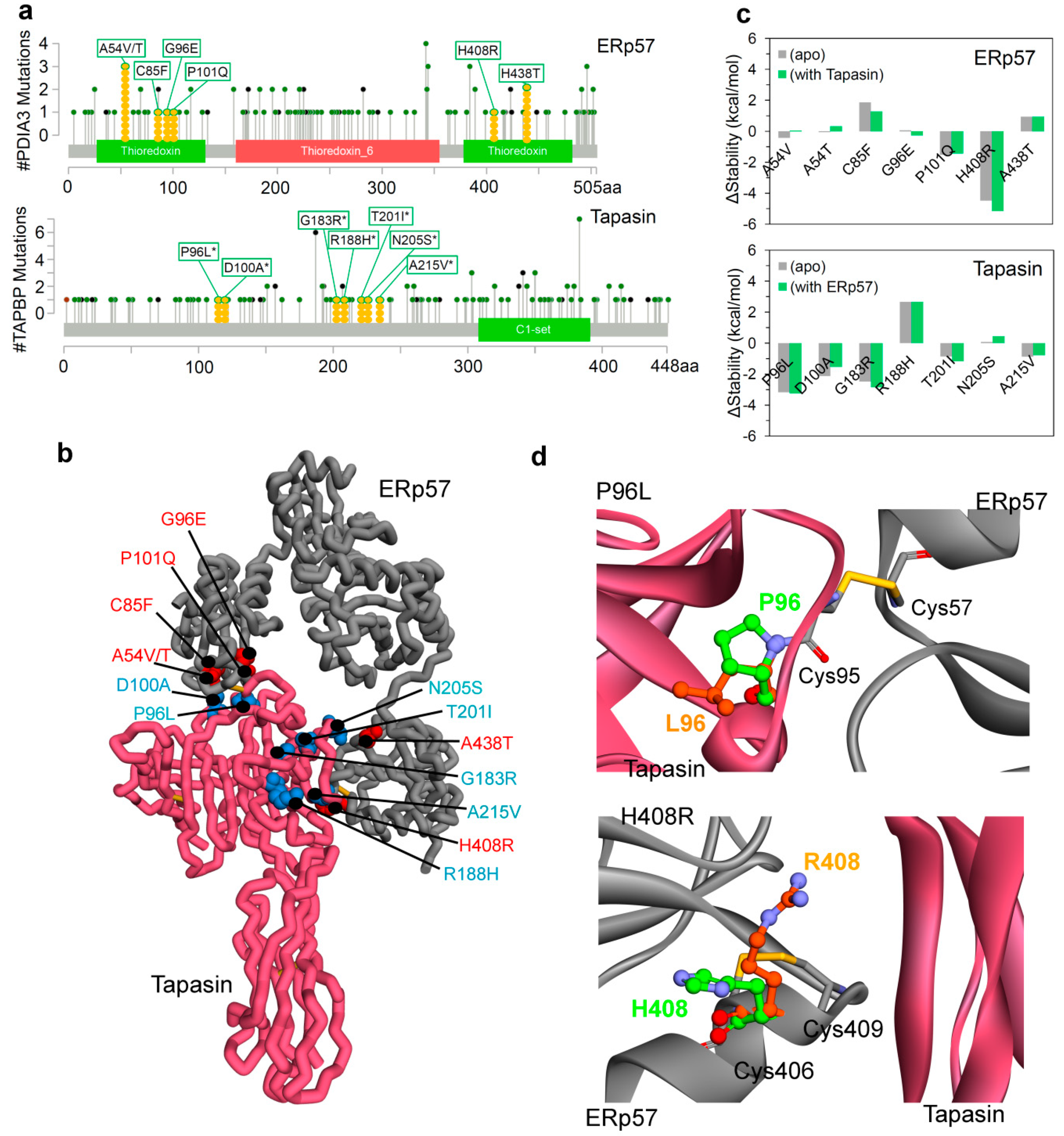 Cancers 12 00737 g002