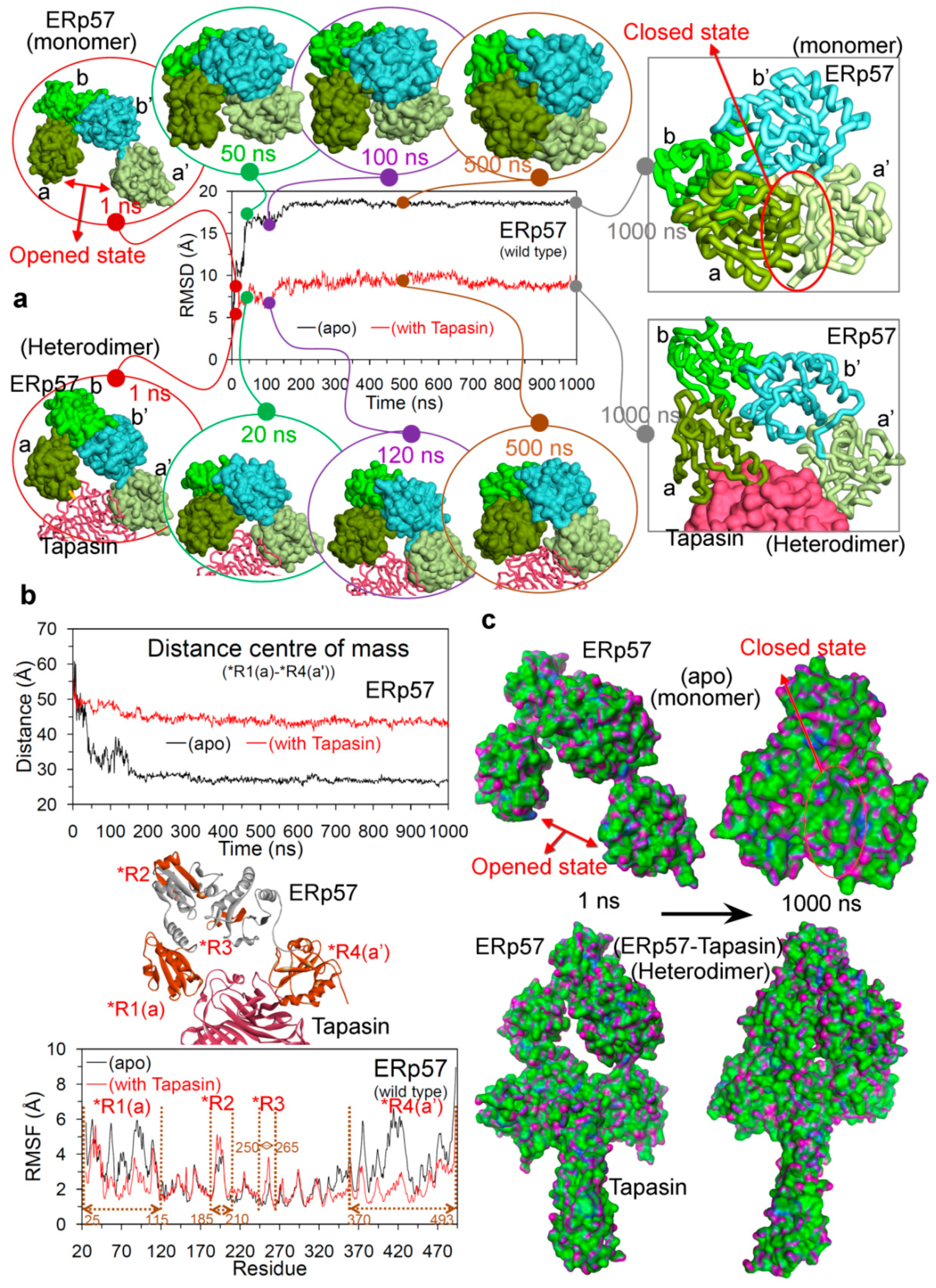 Cancers 12 00737 g003