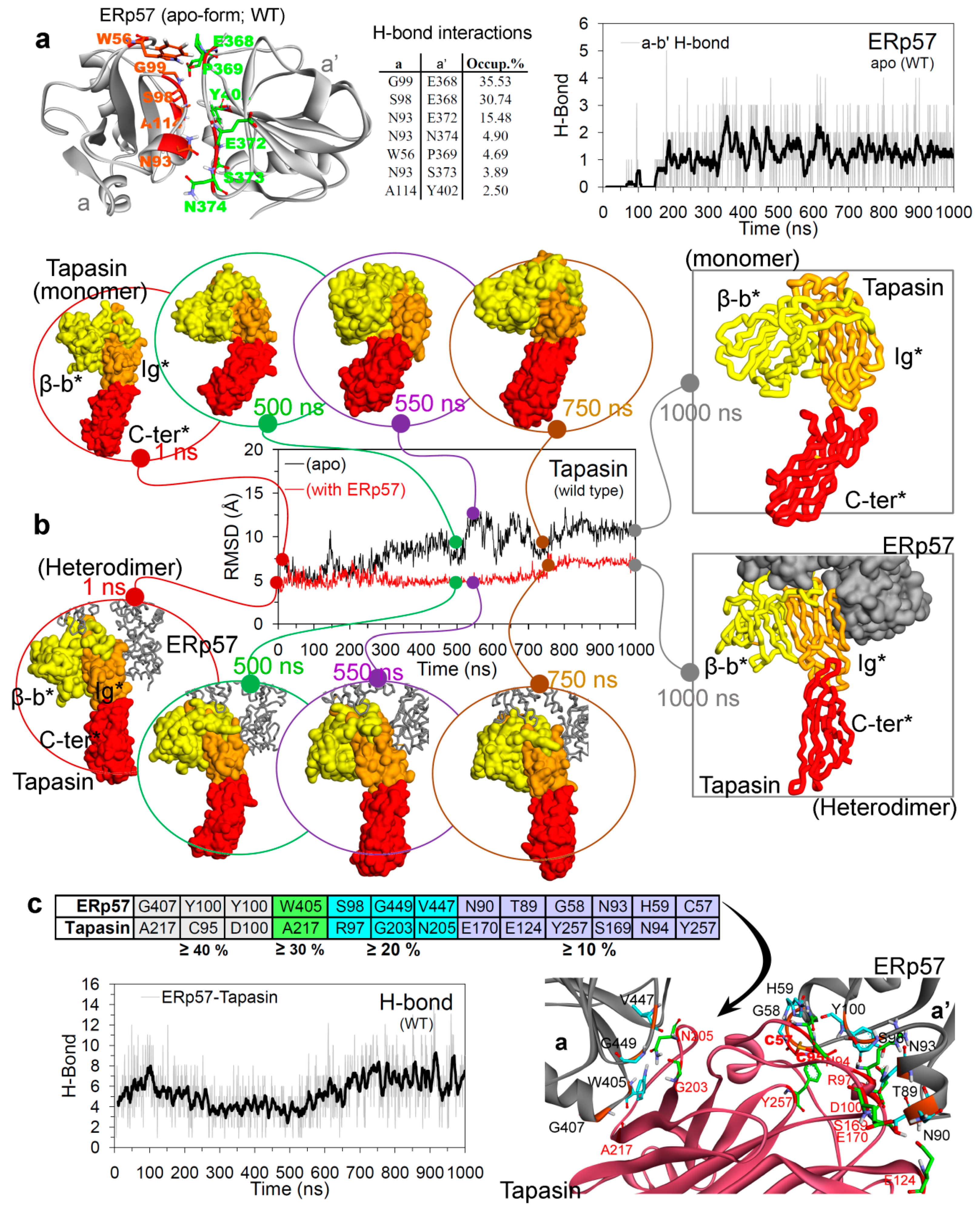 Cancers 12 00737 g004