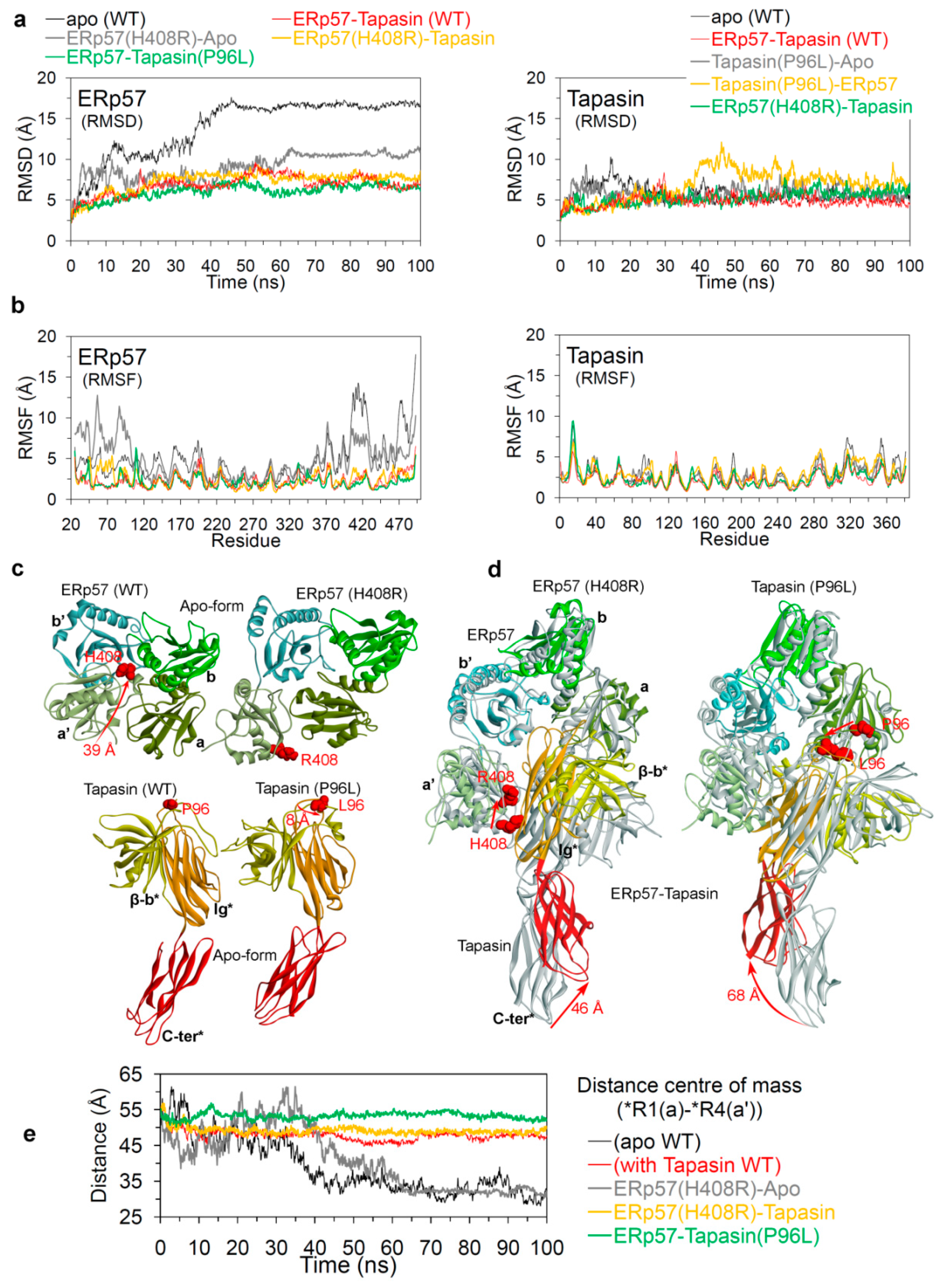 Cancers 12 00737 g005