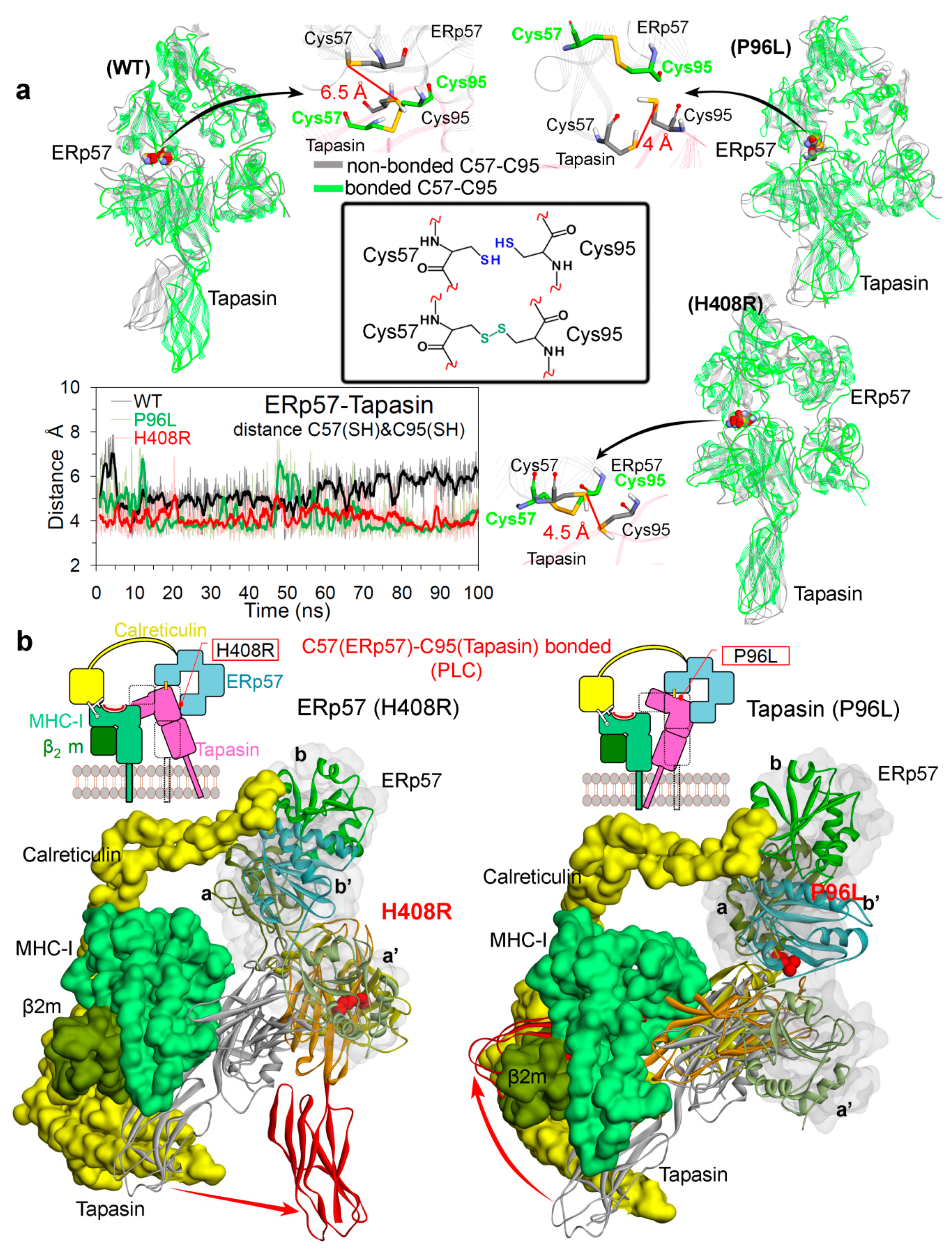 Cancers 12 00737 g007