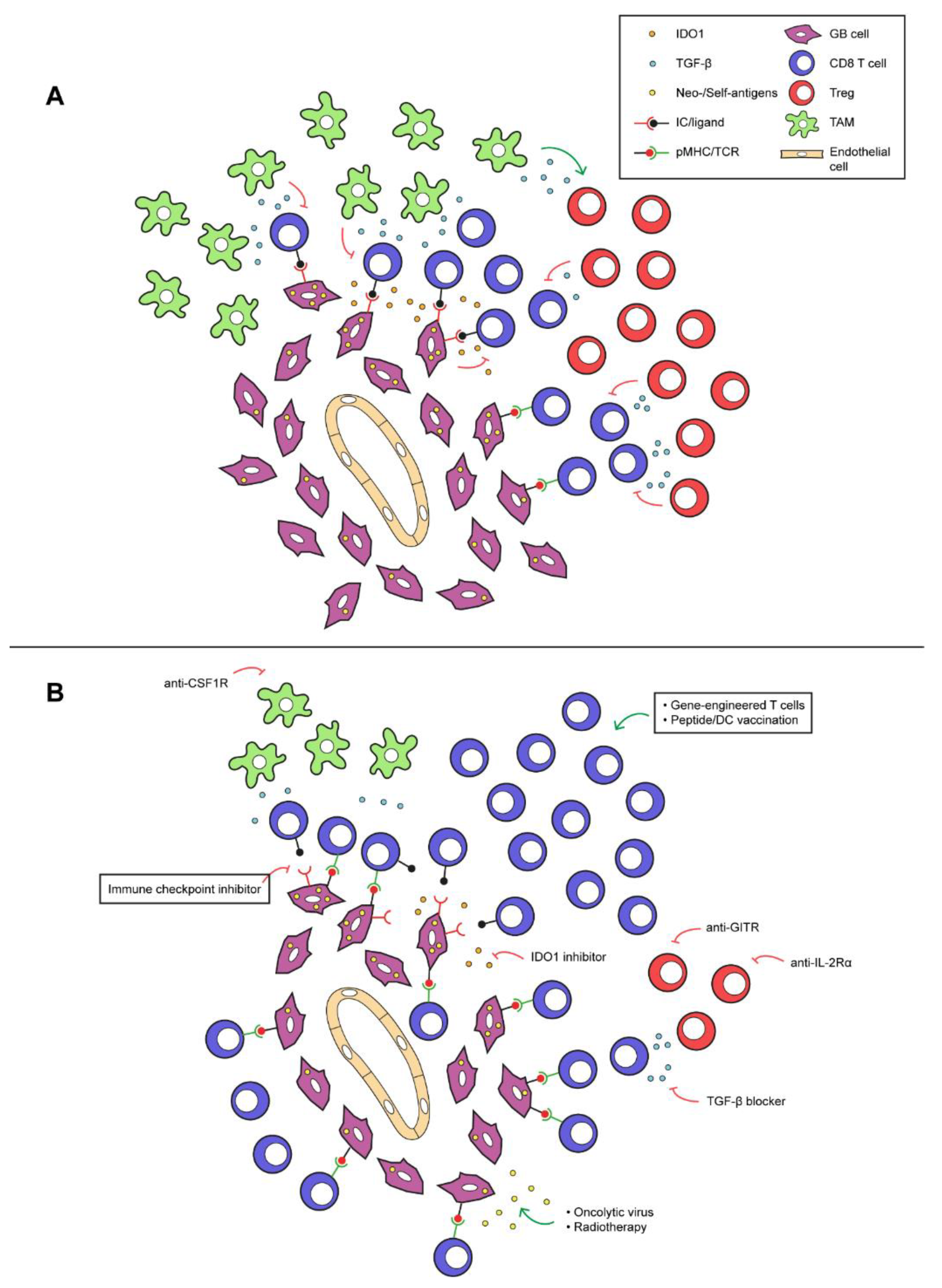 Cancers 12 00751 g001 Cancers 12 00751 g001