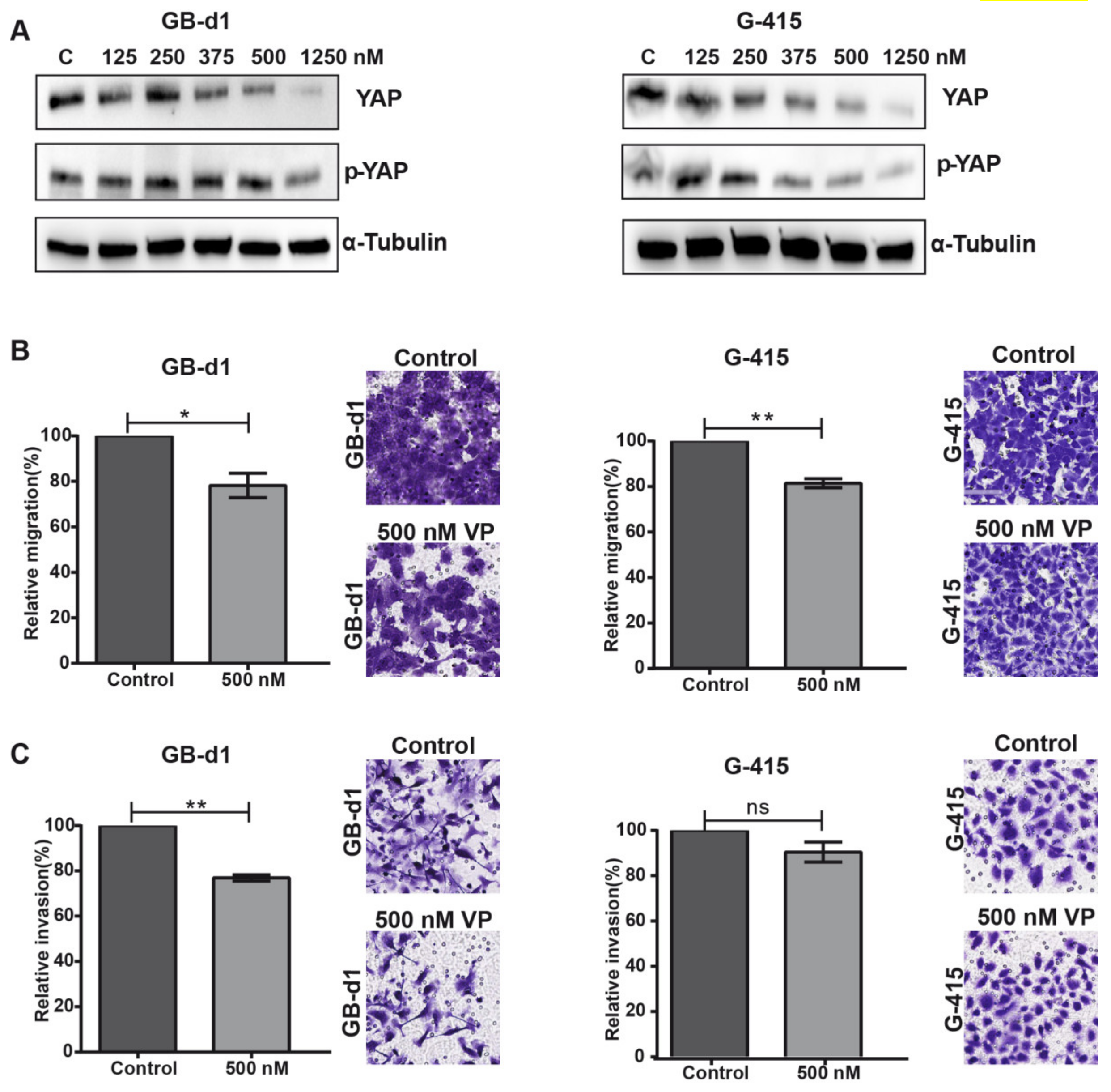Cancers 12 00778 g004