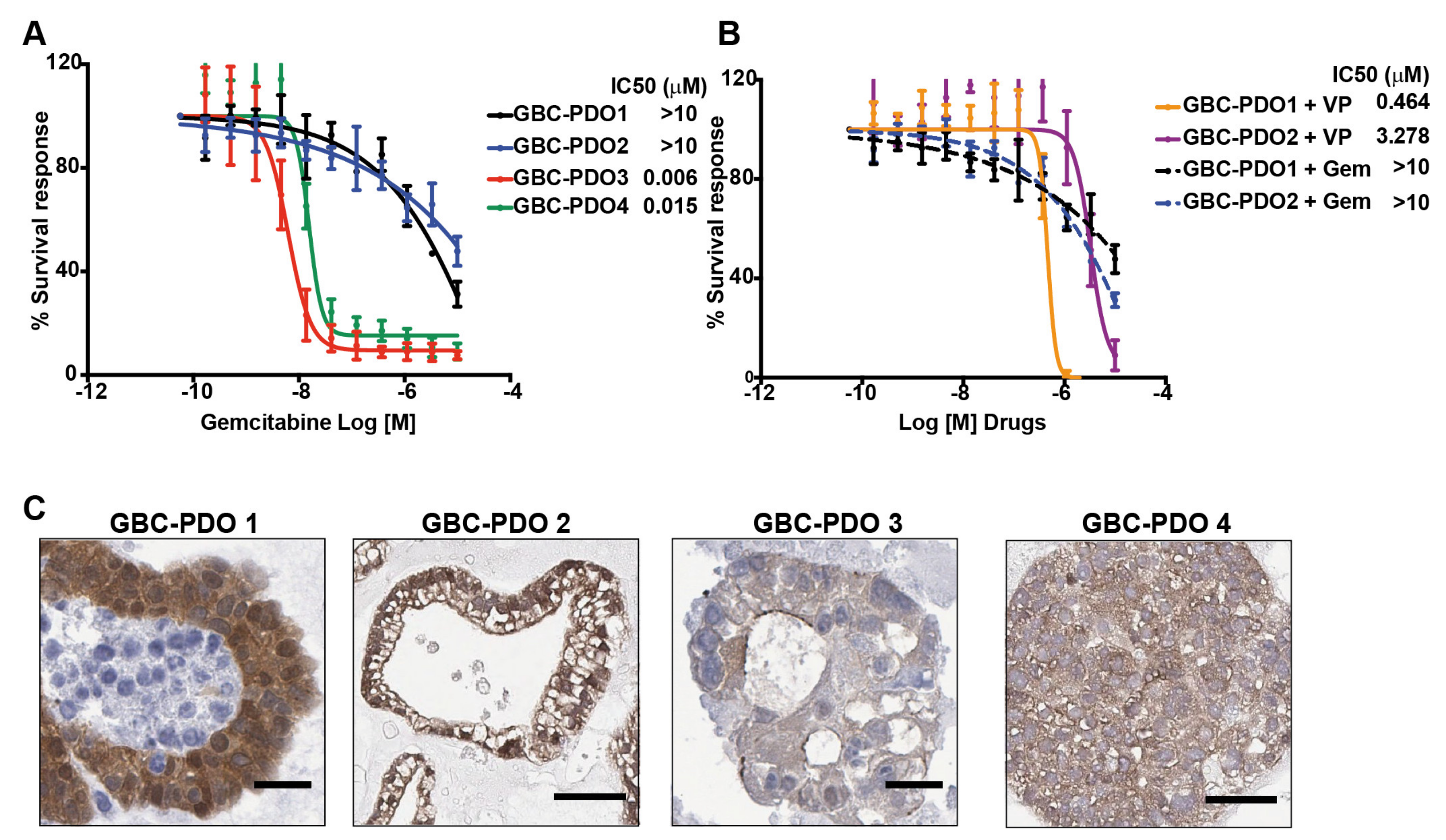 Cancers 12 00778 g005
