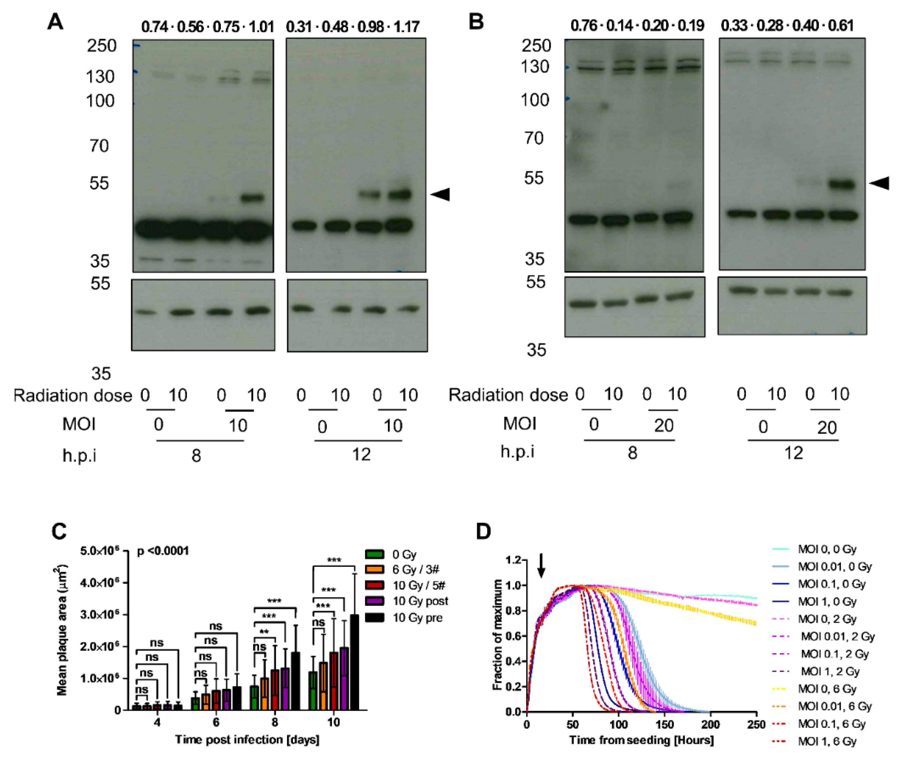Cancers 12 00798 g002
