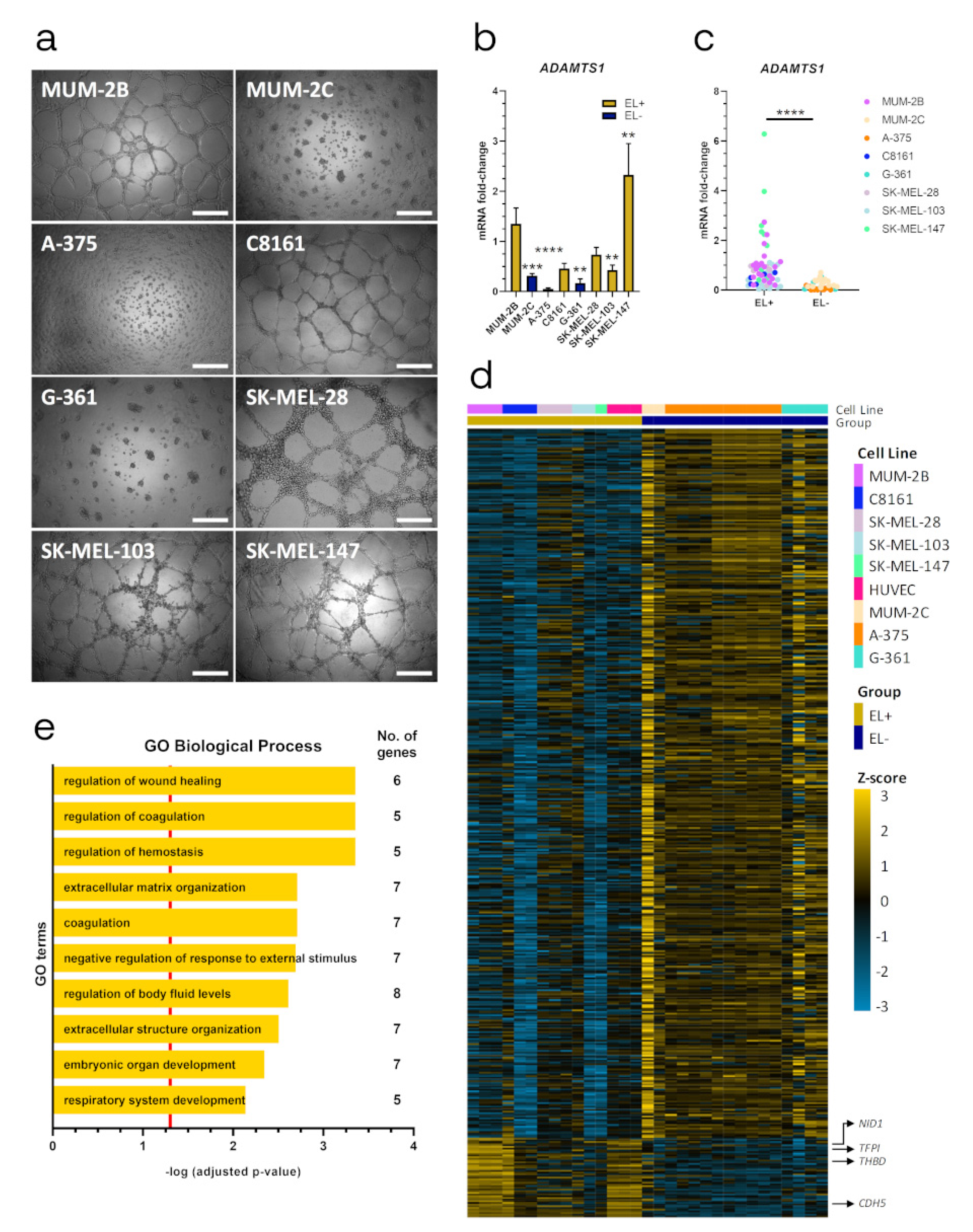 Cancers 12 00801 g001 Cancers 12 00801 g001
