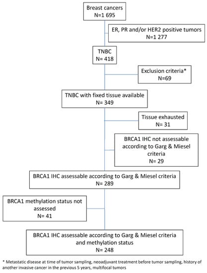 Cancers Free Full Text Brca1 Promoter Hypermethylation Is Associated With Good Prognosis And Chemosensitivity In Triple Negative Breast Cancer Html