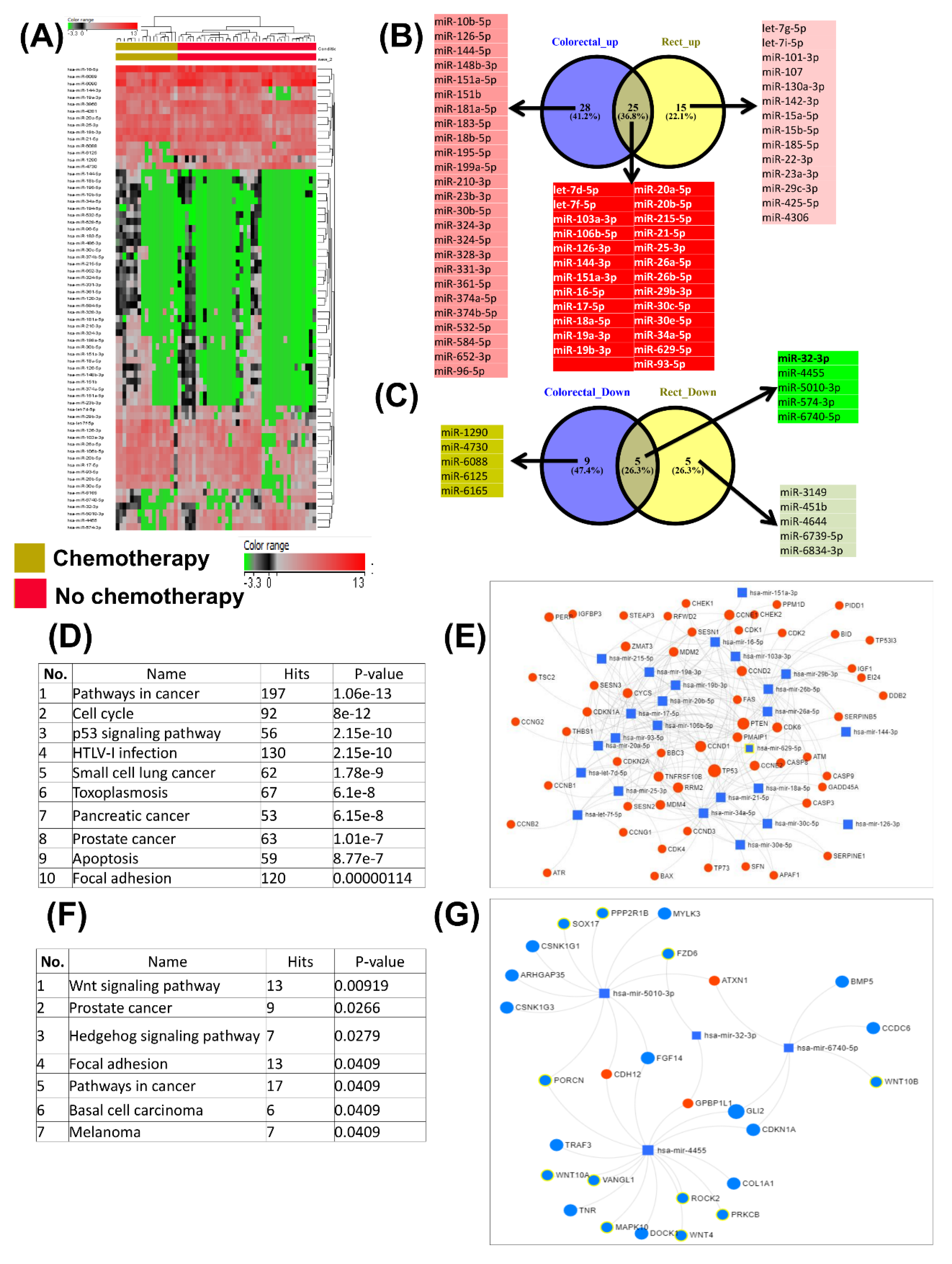 Cancers Free Full Text Plasma And Tissue Specific Mirna Expression Pattern And Functional Analysis Associated To Colorectal Cancer Patients Html