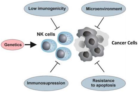 The Nk Cell Cancer Cycle Advances And New Challenges In Nk Cell Based Immunotherapies Nature Immunology