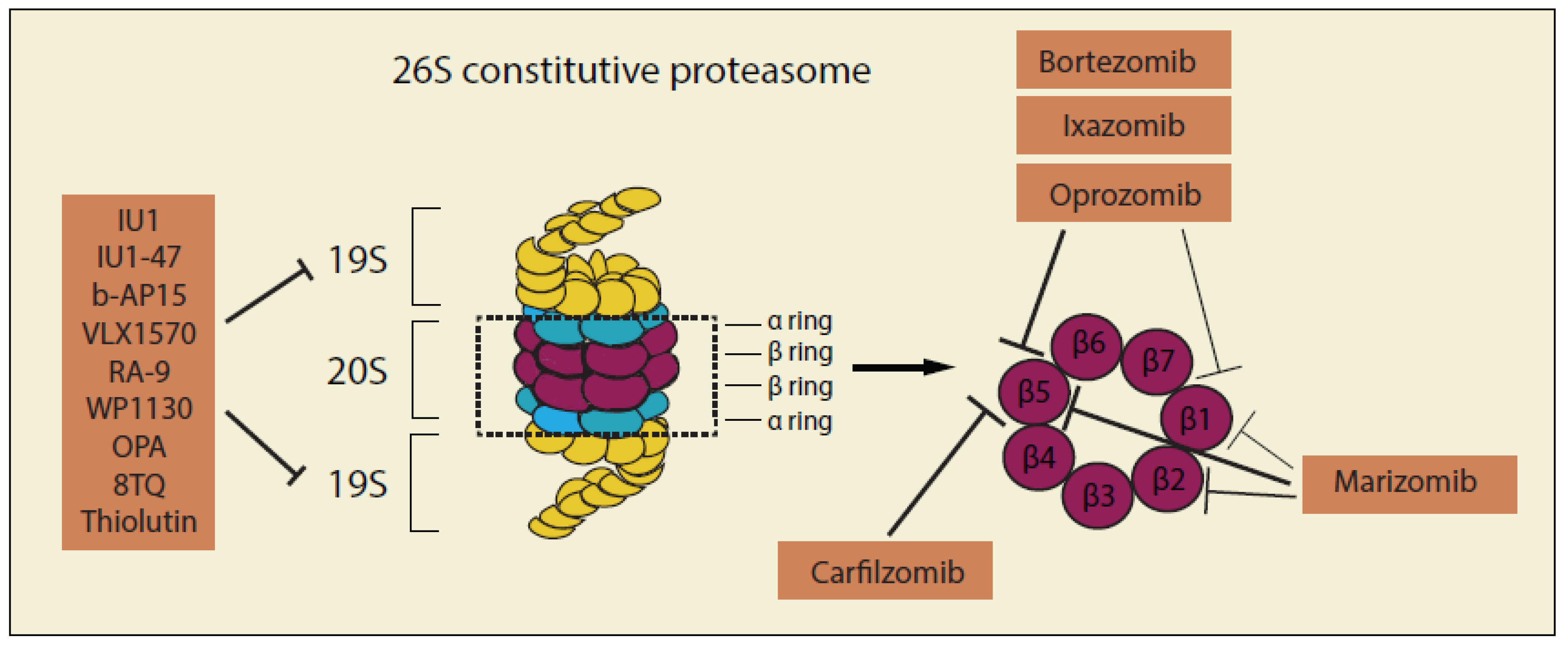 Cancers 12 00902 g003 Cancers 12 00902 g003