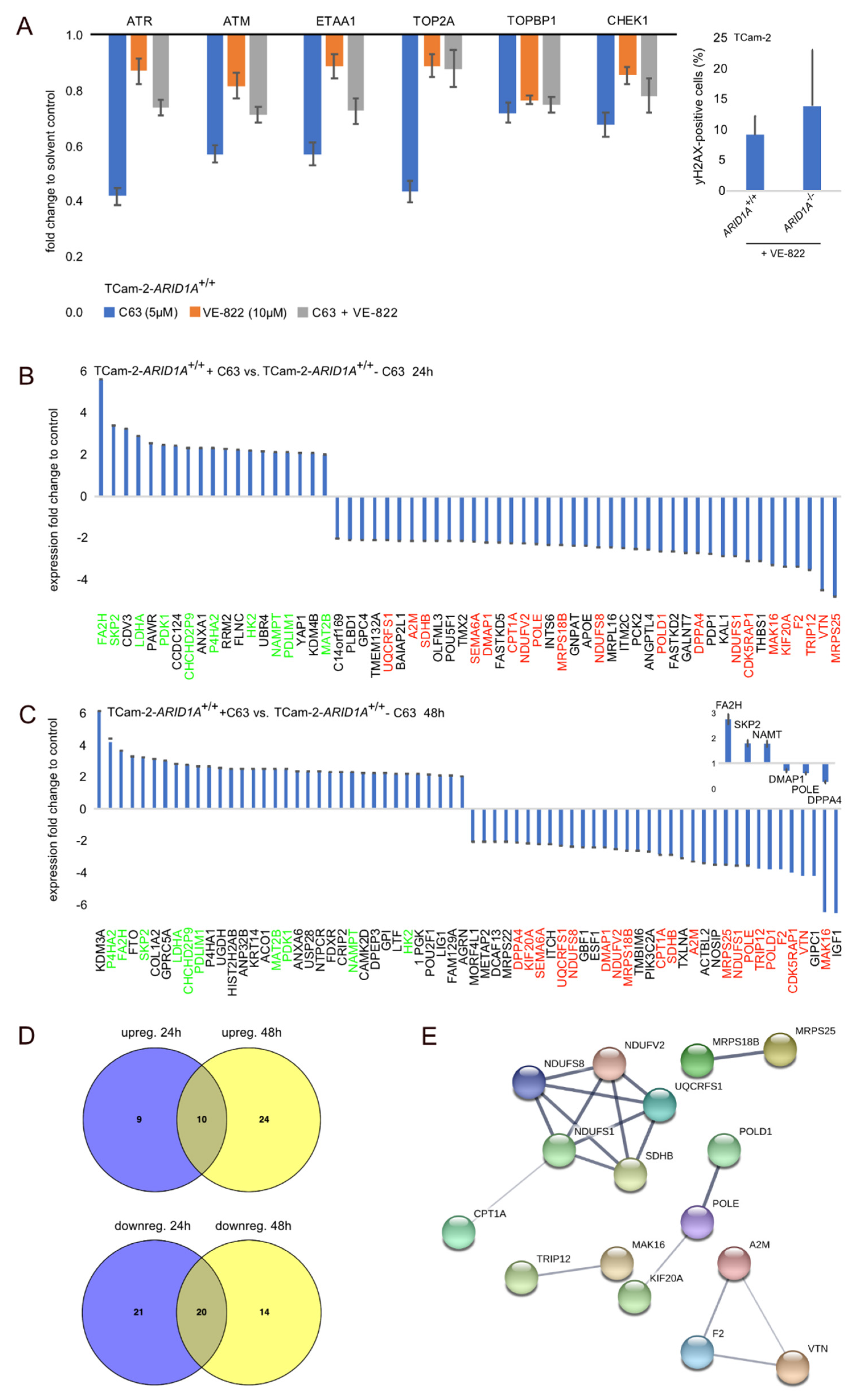 Cancers 12 00905 g003
