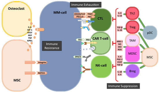 Full article: Epigenetic treatment of multiple myeloma mediates tumor  intrinsic and extrinsic immunomodulatory effects