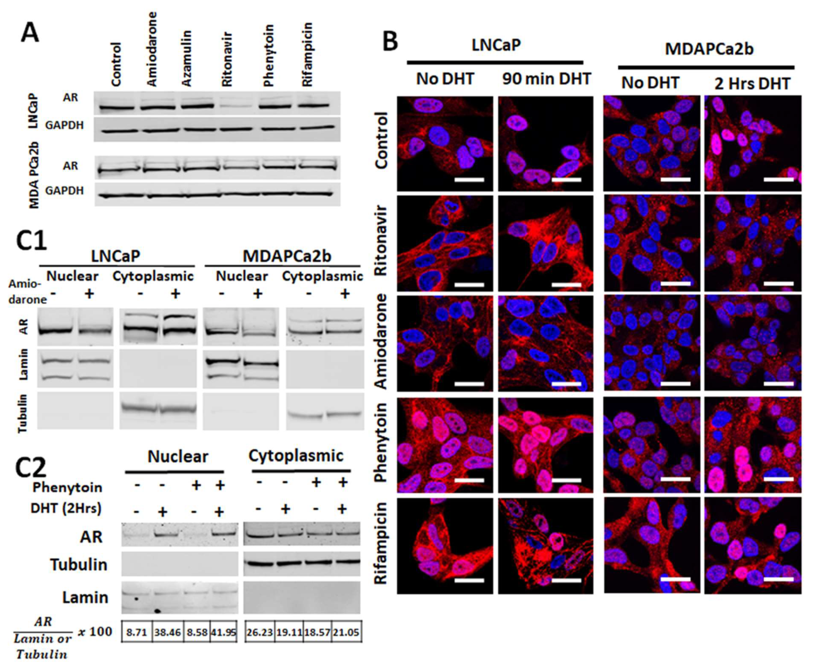 Cancers 12 00989 g003