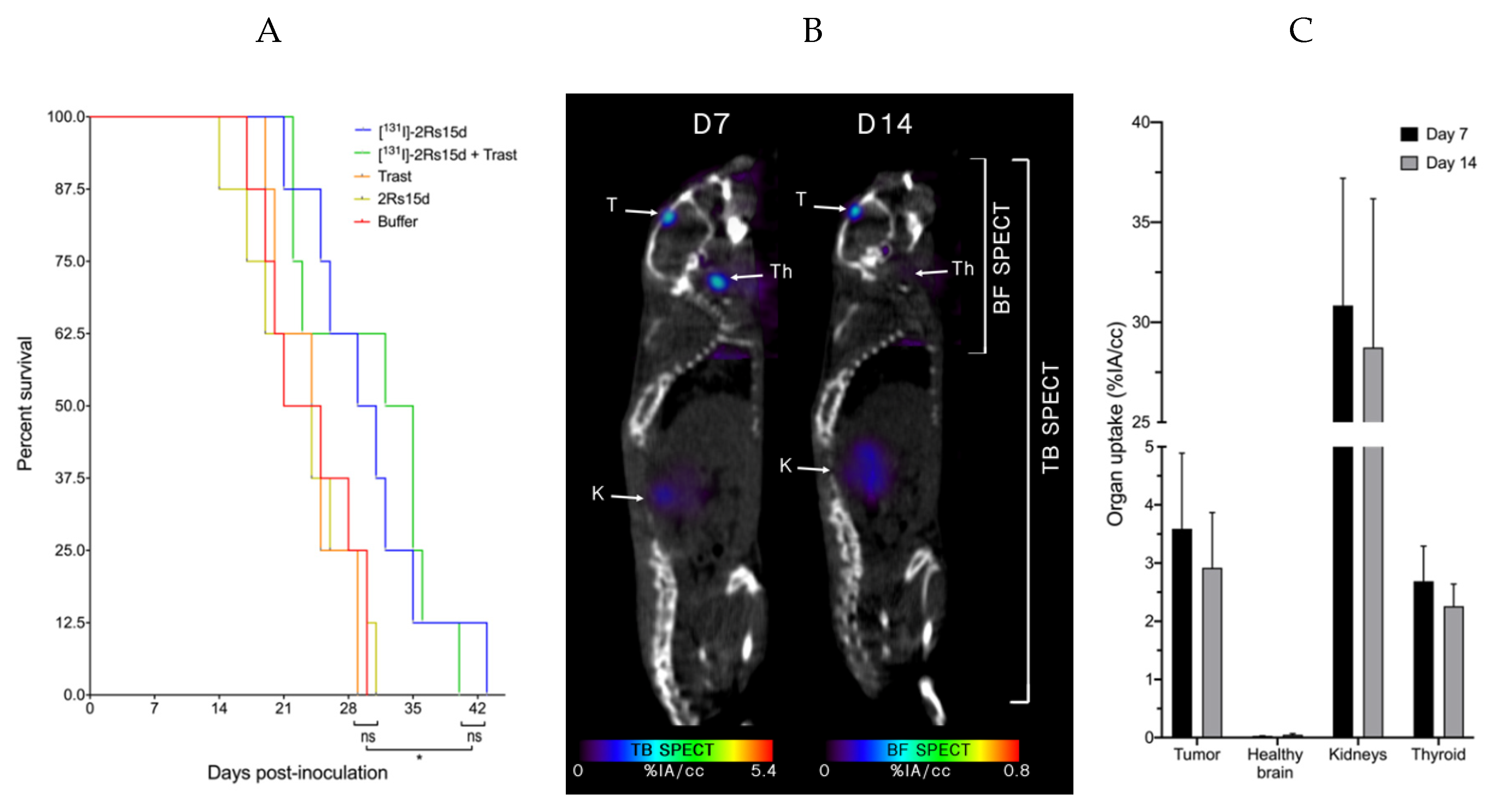 Cancers 12 01017 g005 Cancers 12 01017 g005