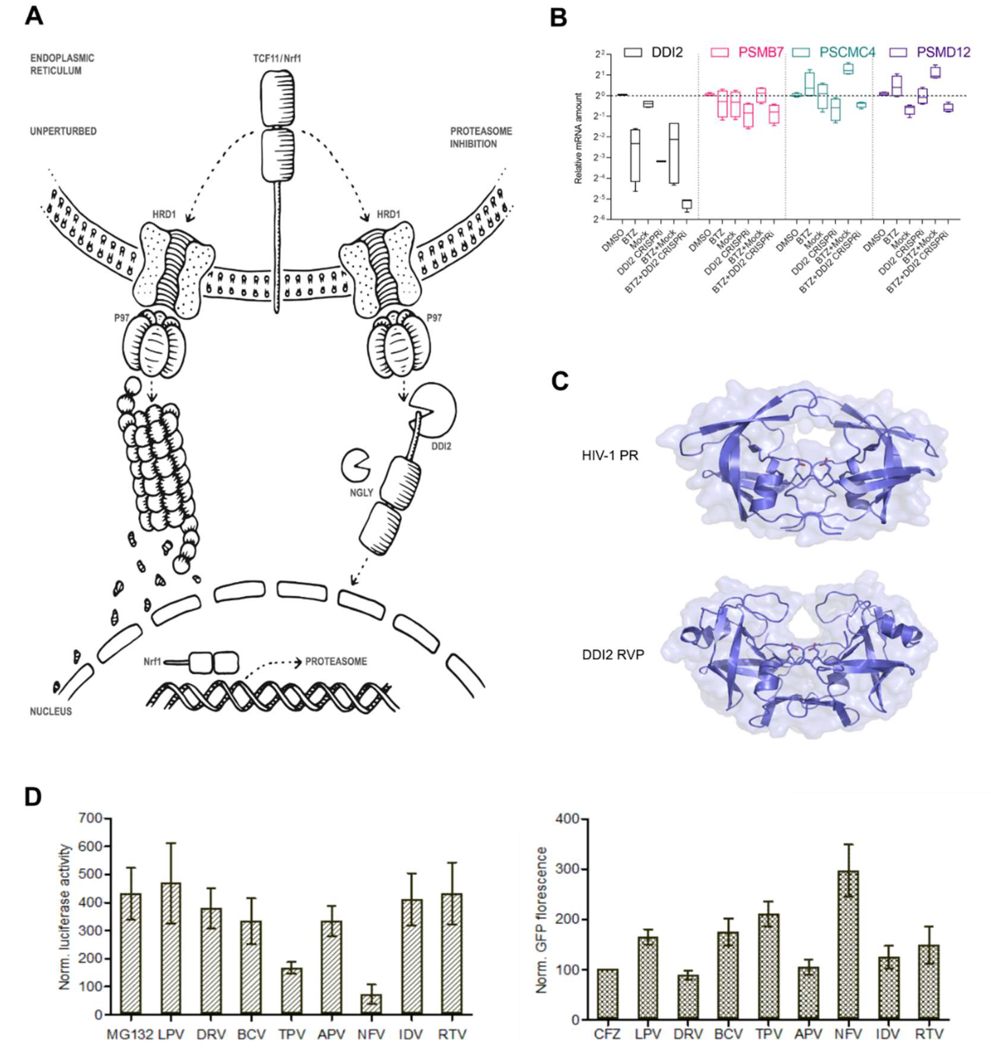 Cancers 12 01065 g001