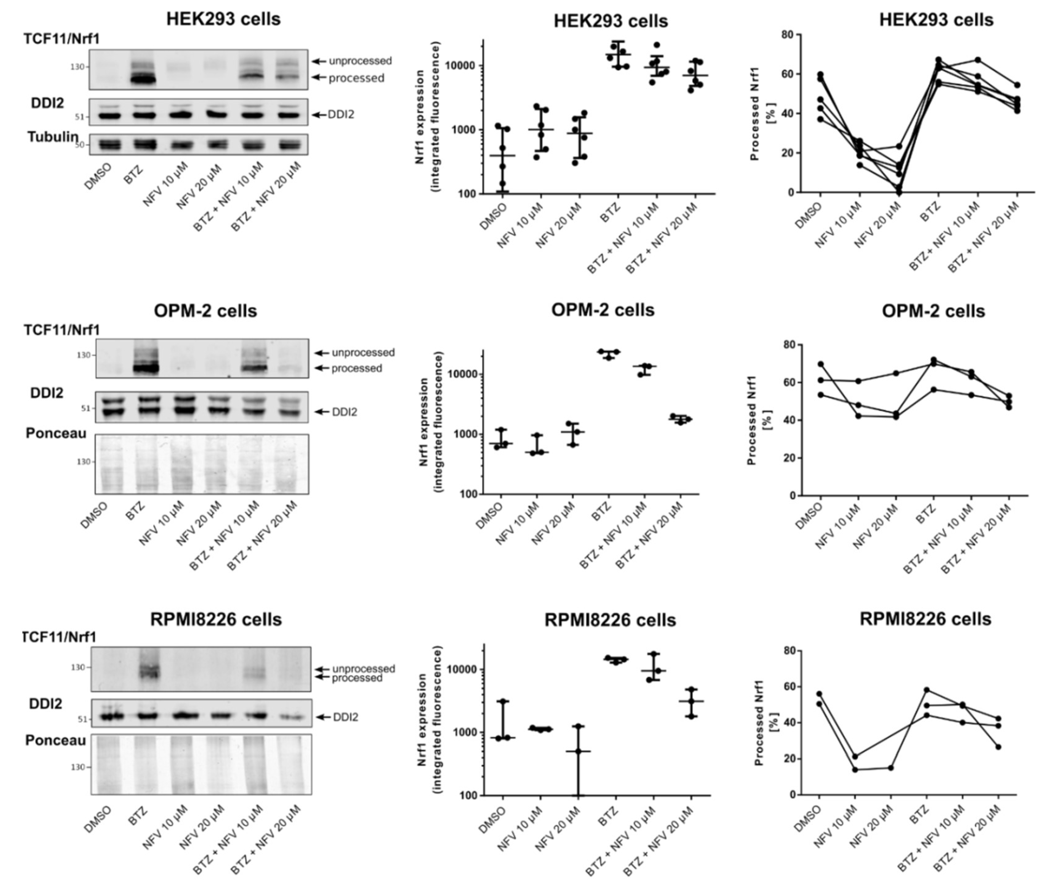 Cancers 12 01065 g003