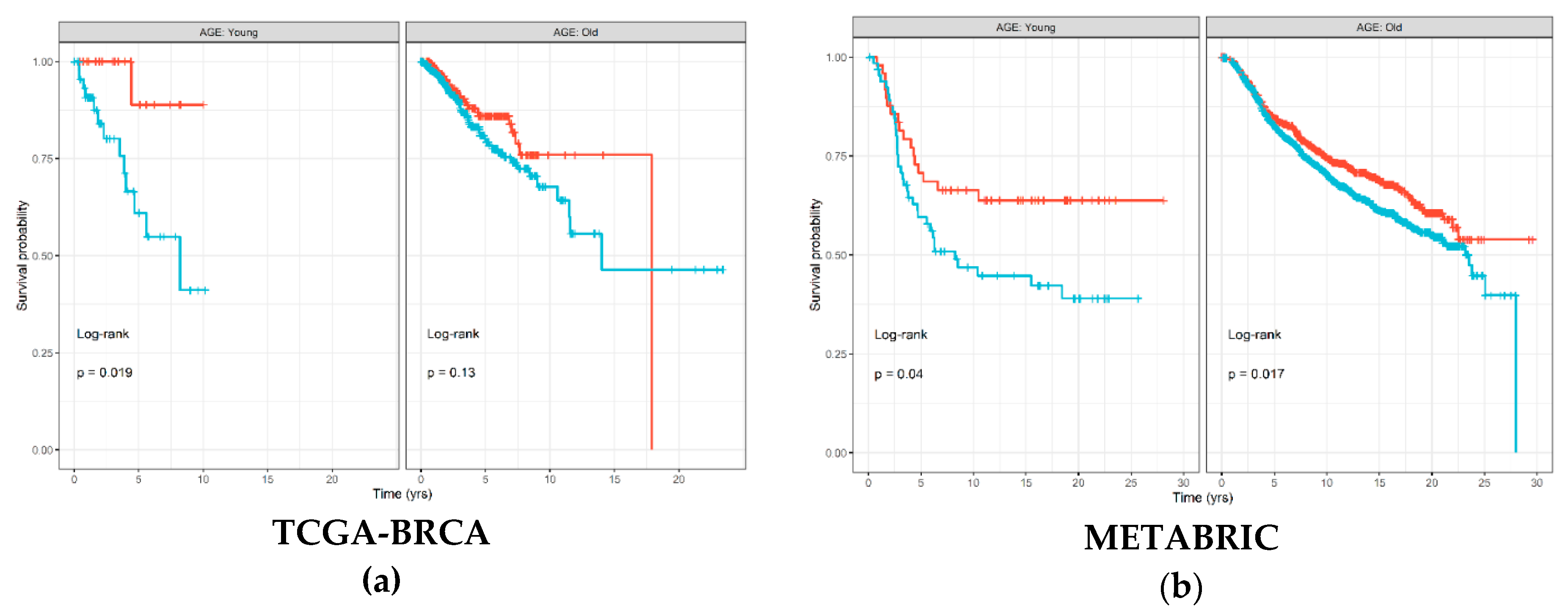 Cancers 12 01076 g002 Cancers 12 01076 g002