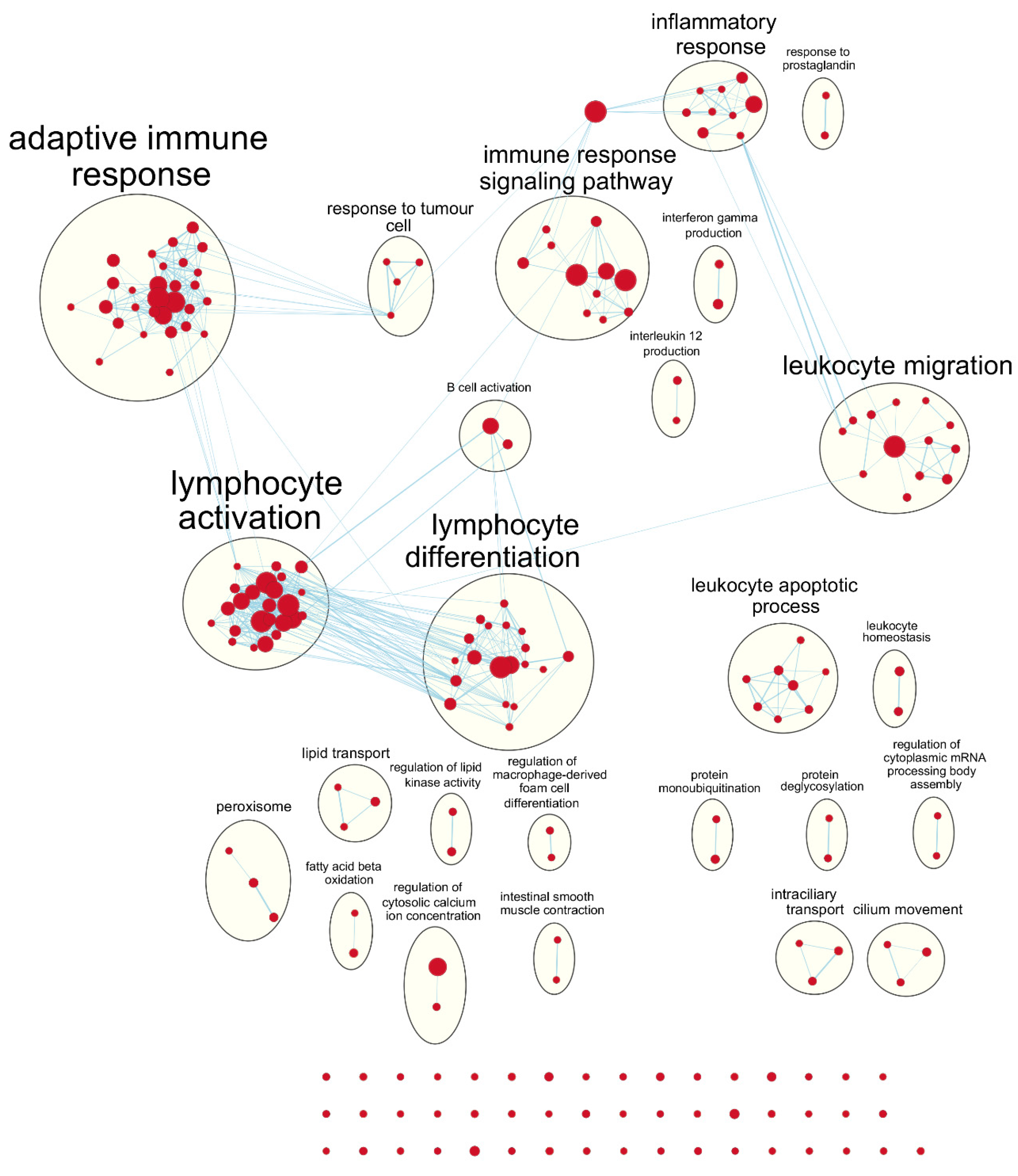 Cancers 12 01076 g005 Cancers 12 01076 g005