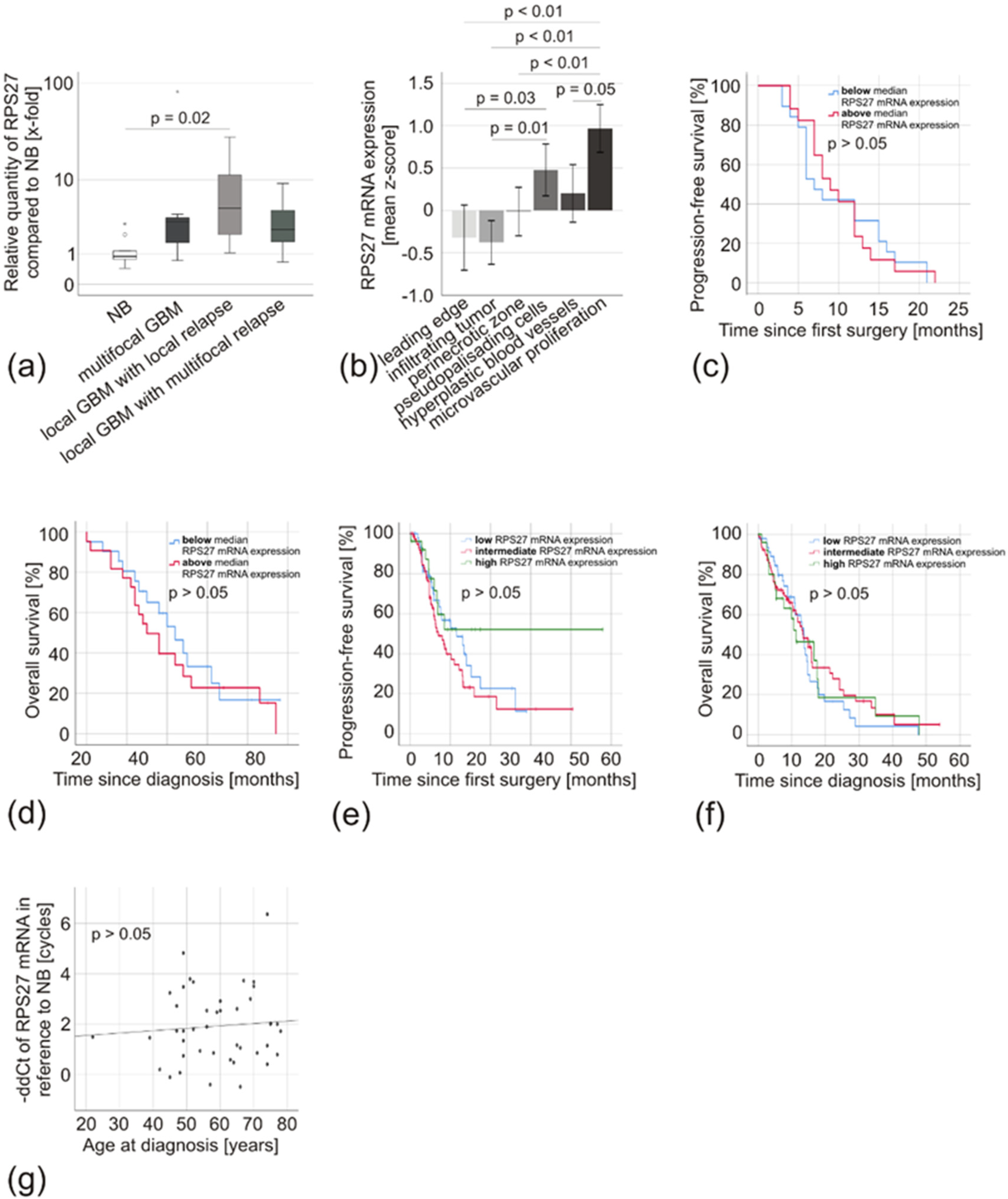 Cancers 12 01085 g007 Cancers 12 01085 g007