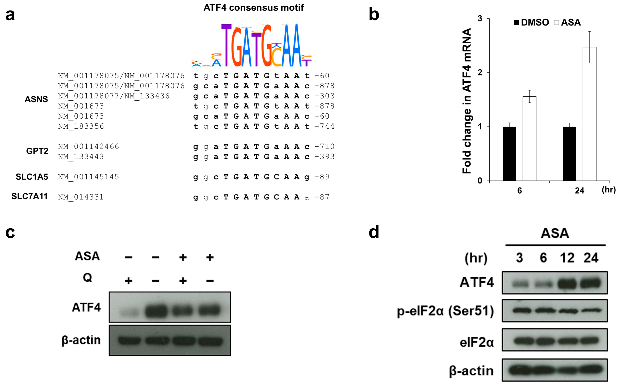 Cancers 12 01097 g004