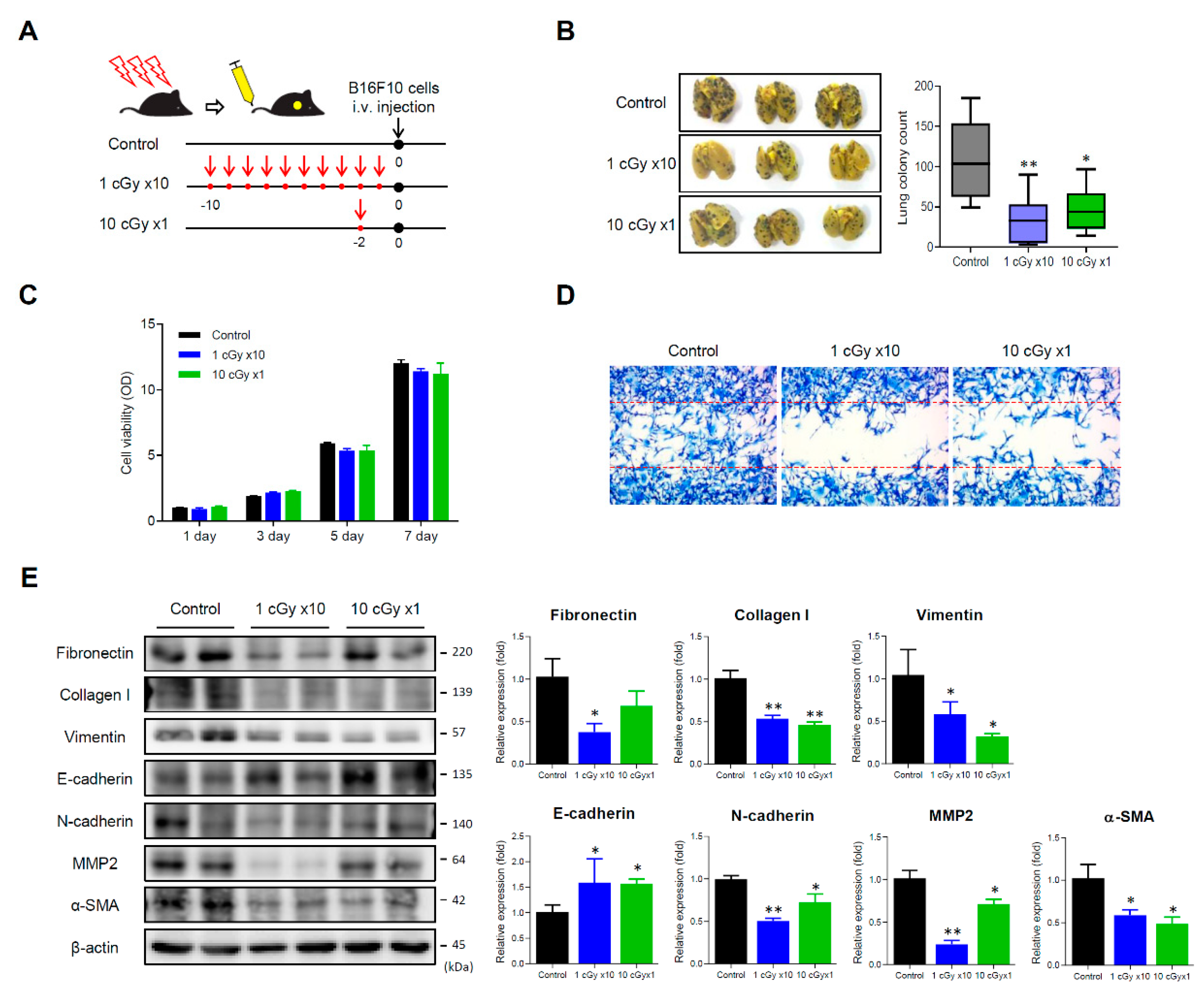 Cancers 12 01126 g001
