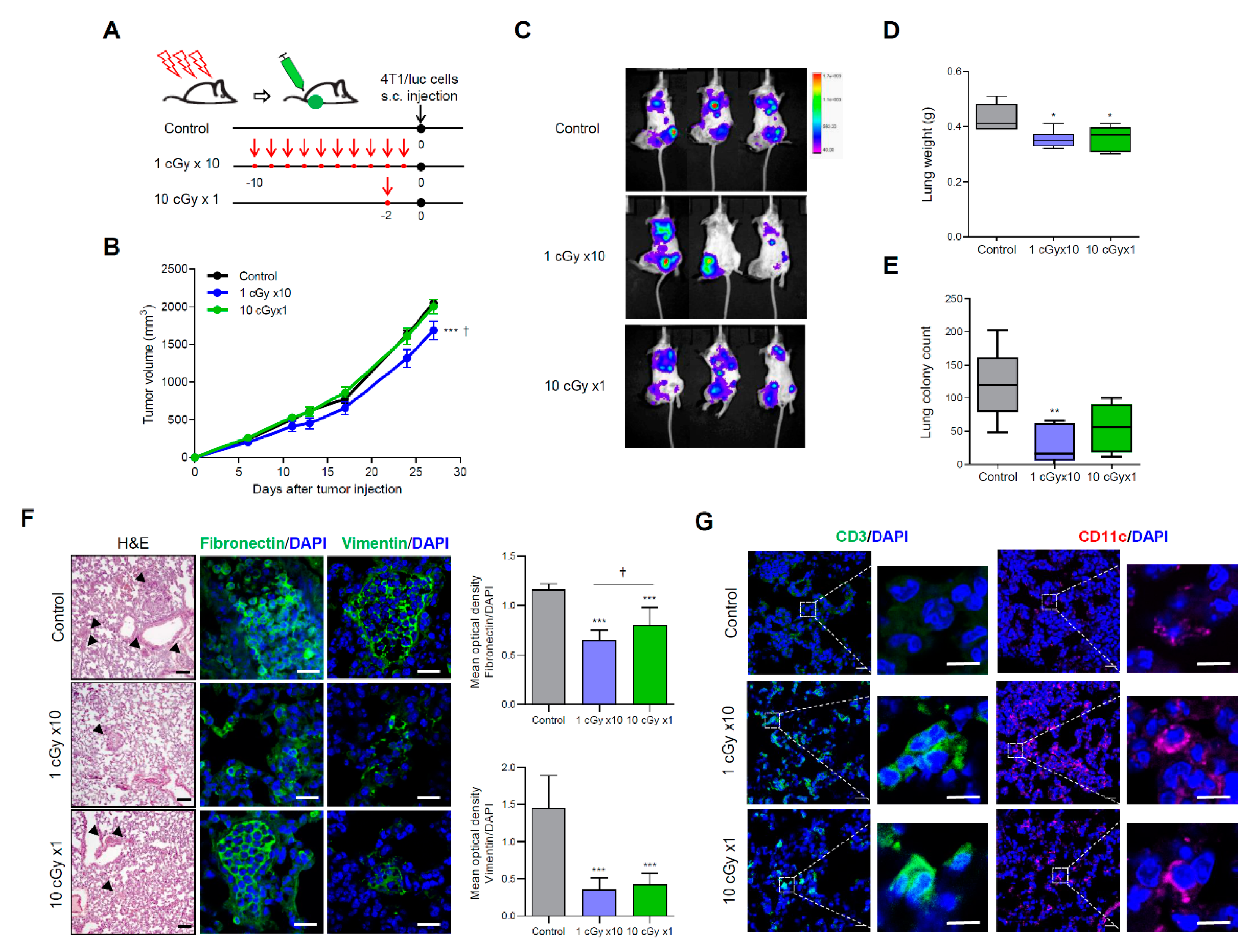 Cancers 12 01126 g002