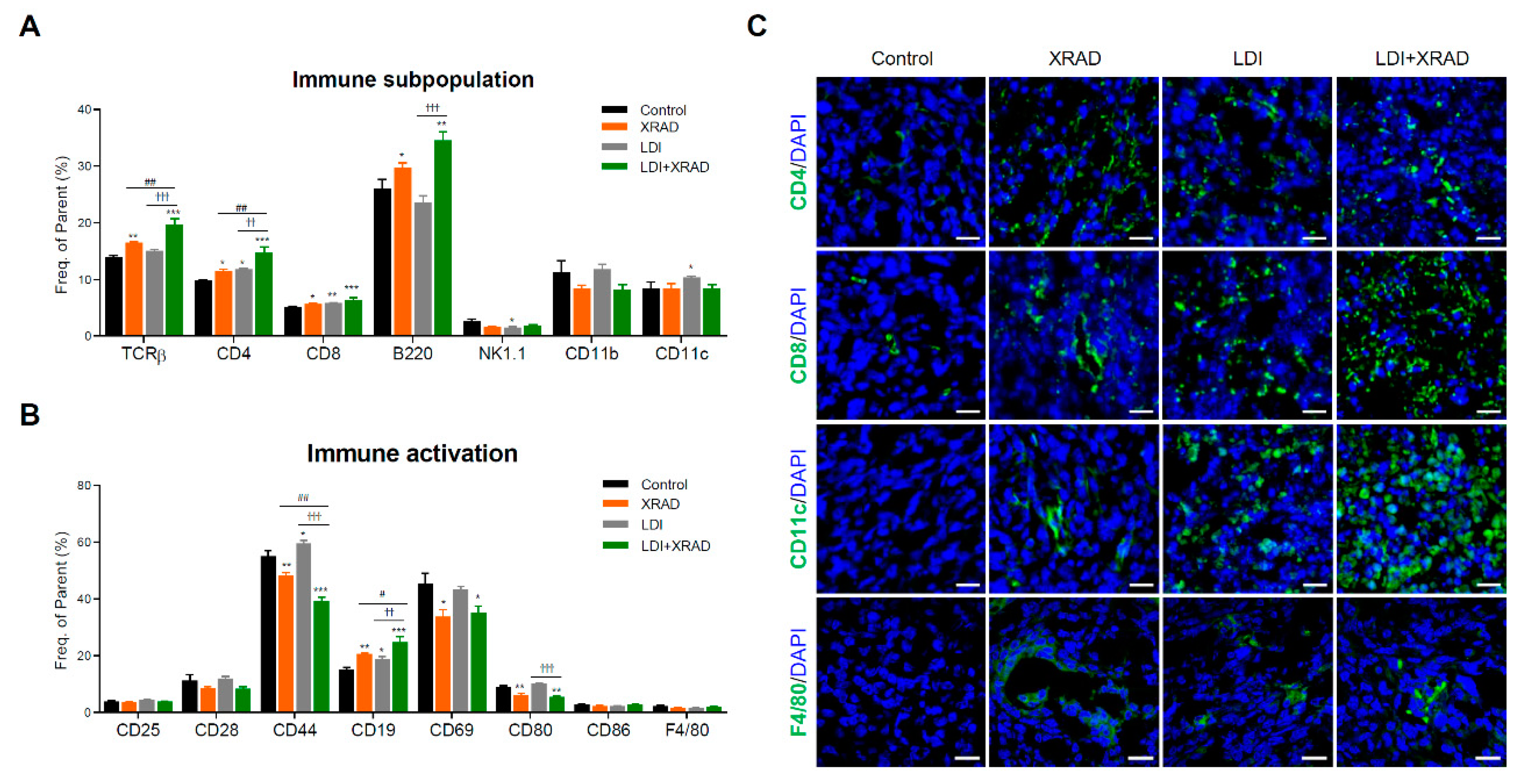 Cancers 12 01126 g005