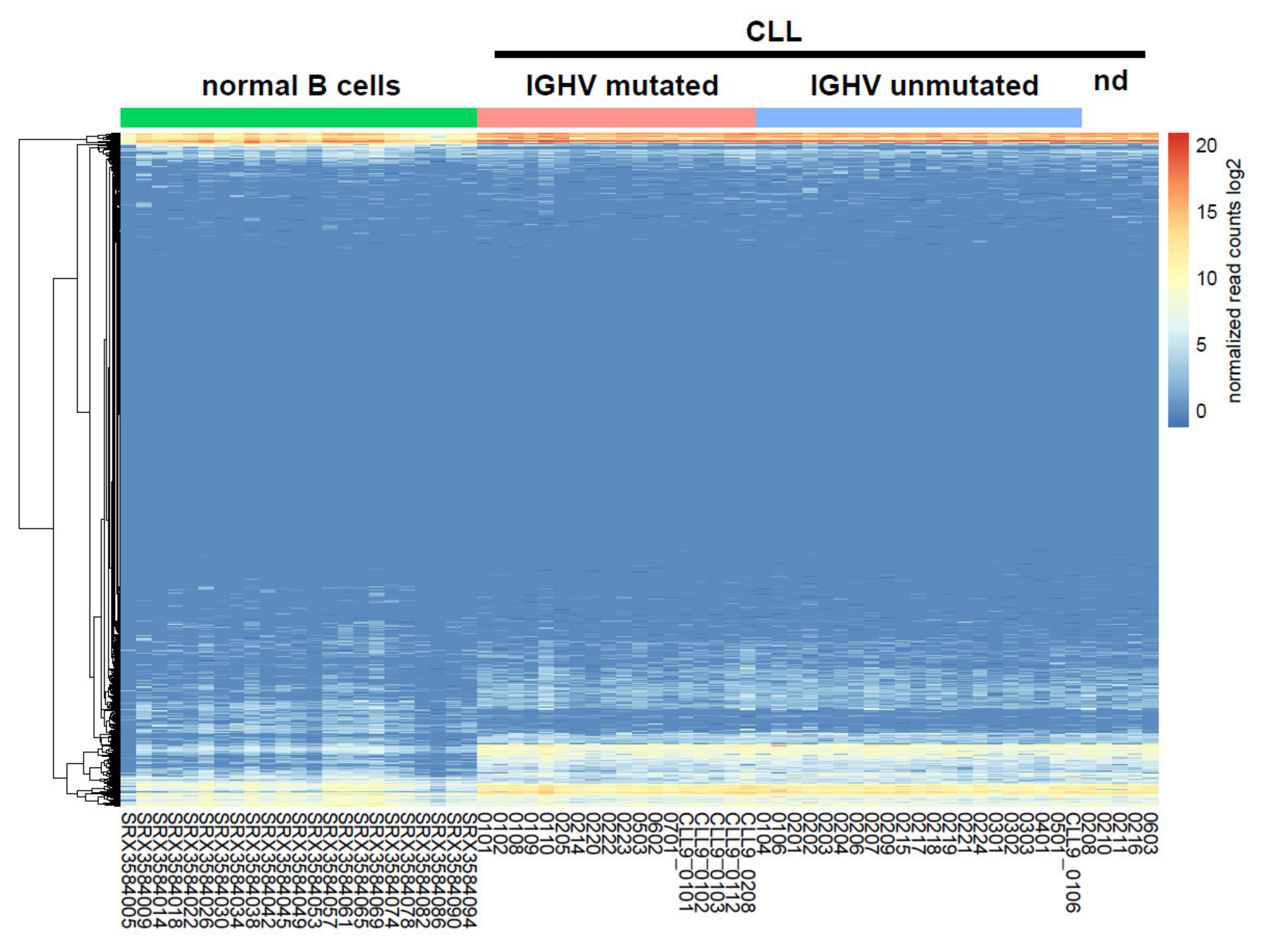 Cancers 12 01159 g001