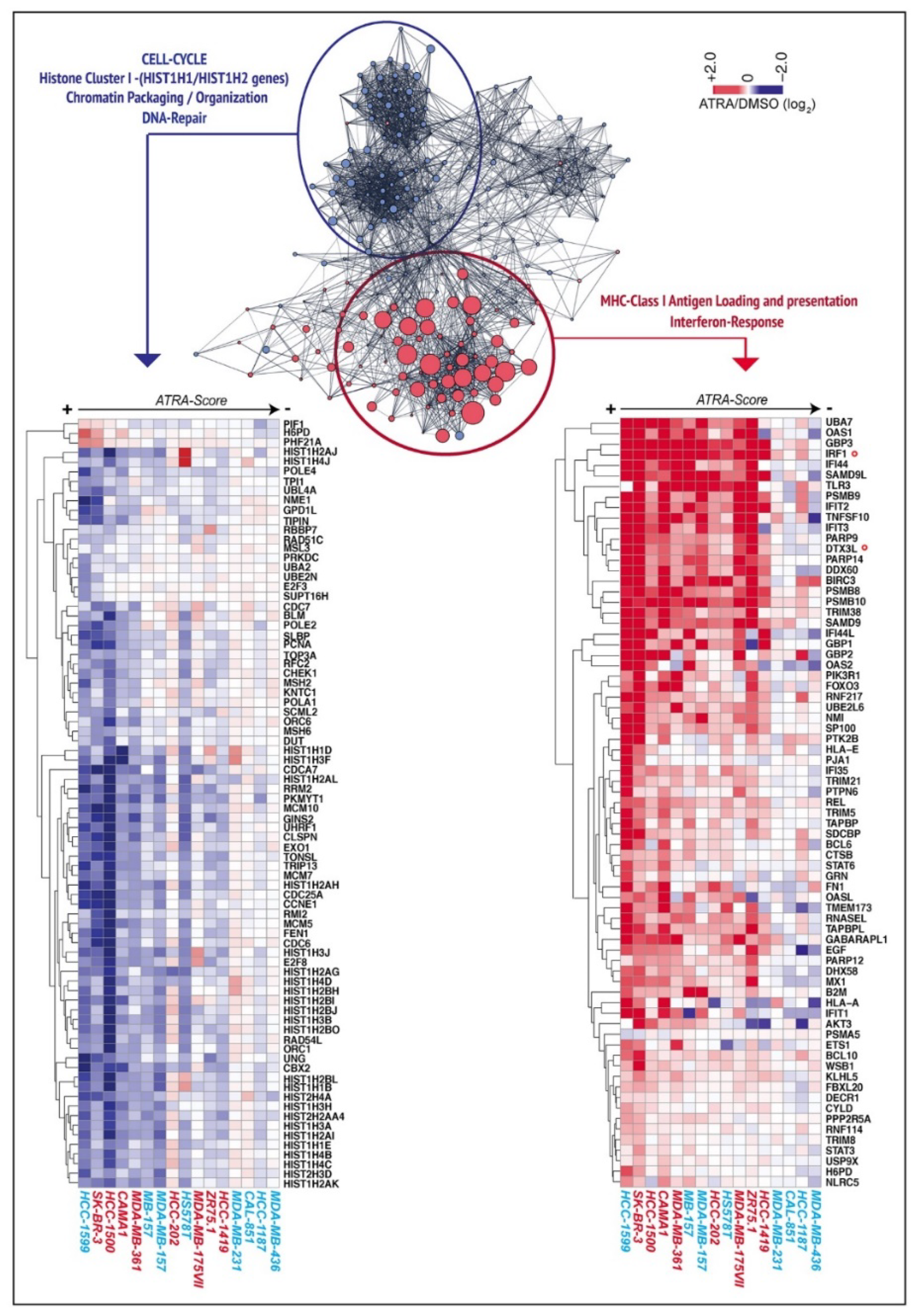 Cancers 12 01169 g002 Cancers 12 01169 g002
