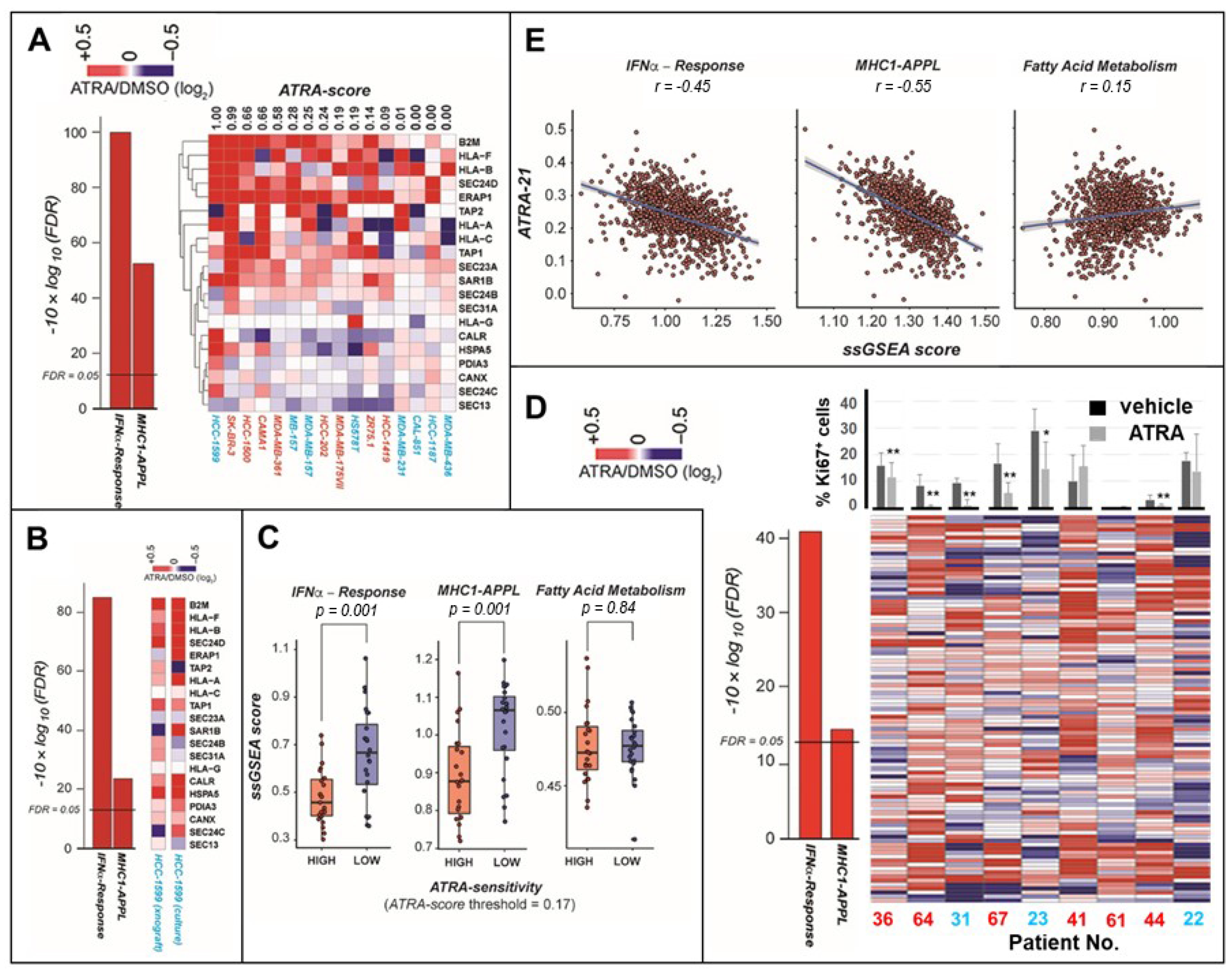 Cancers 12 01169 g004 Cancers 12 01169 g004