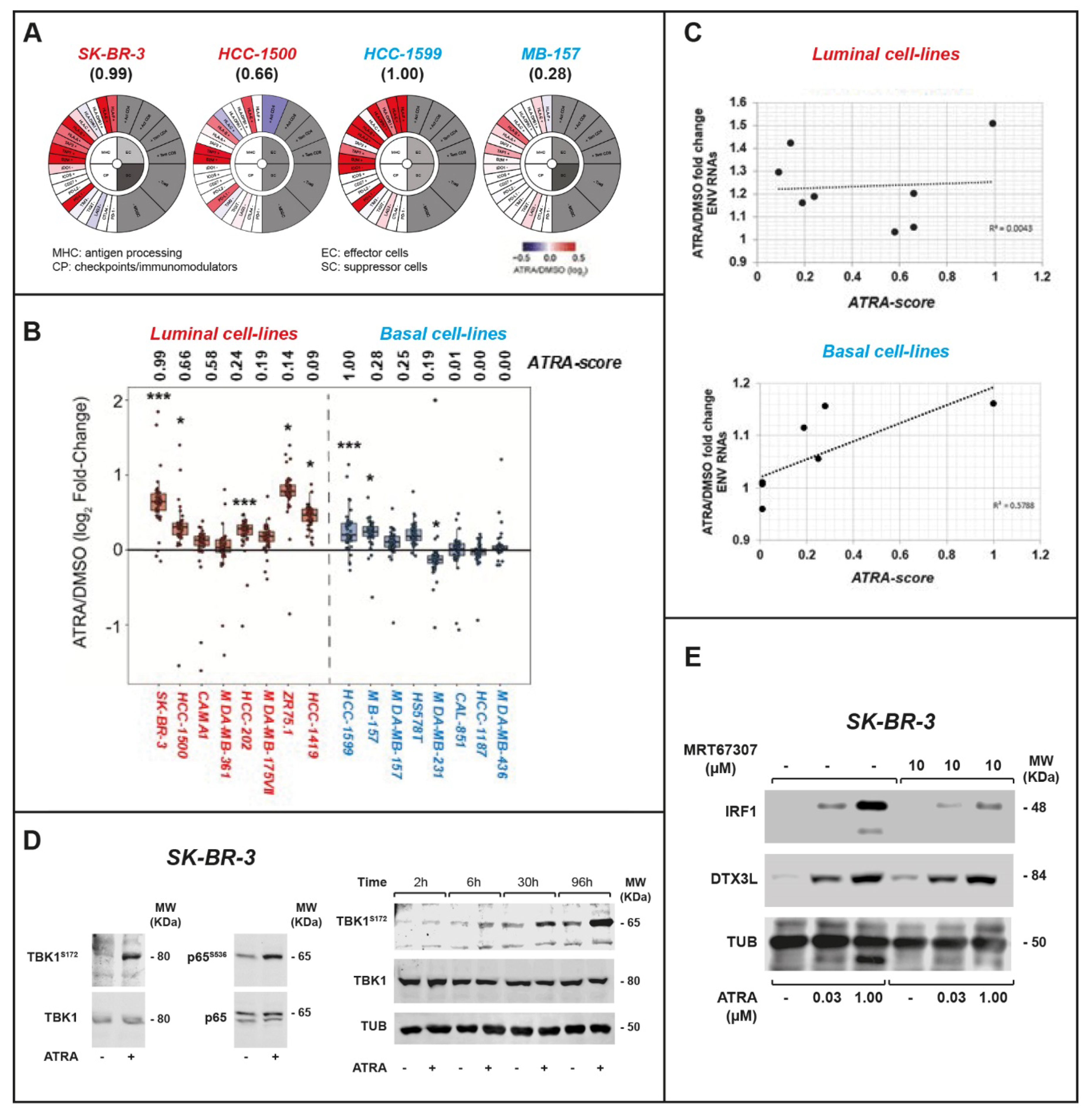 Cancers 12 01169 g005 Cancers 12 01169 g005