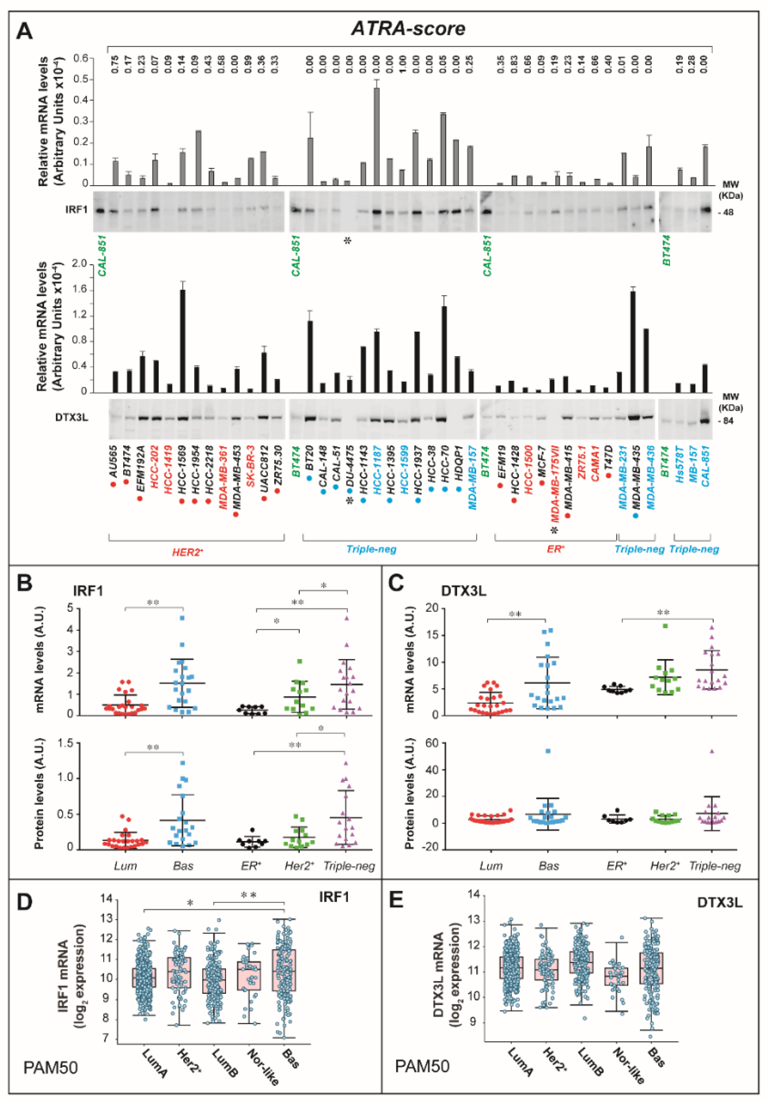 Cancers 12 01169 g006 Cancers 12 01169 g006