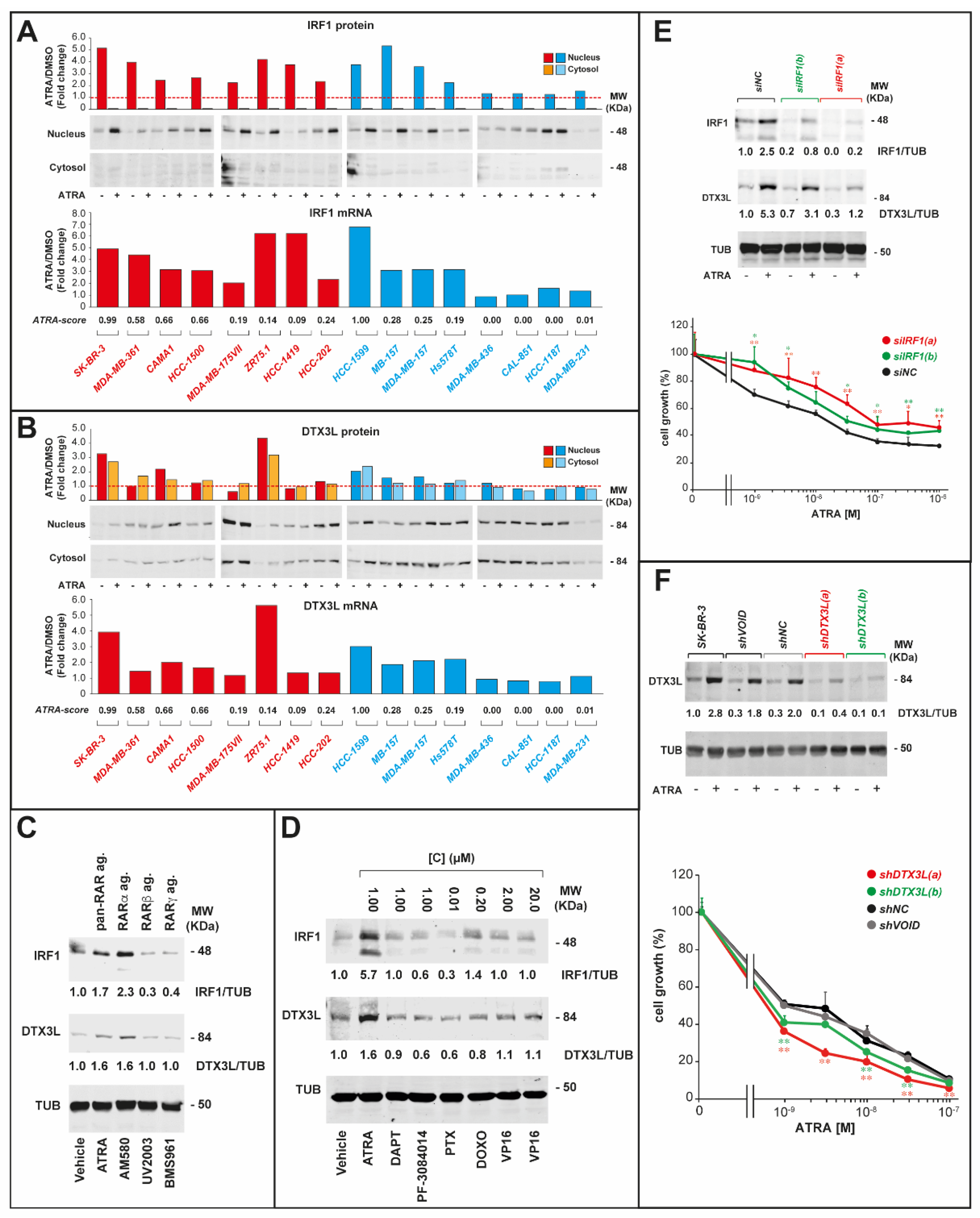 Cancers 12 01169 g007 Cancers 12 01169 g007