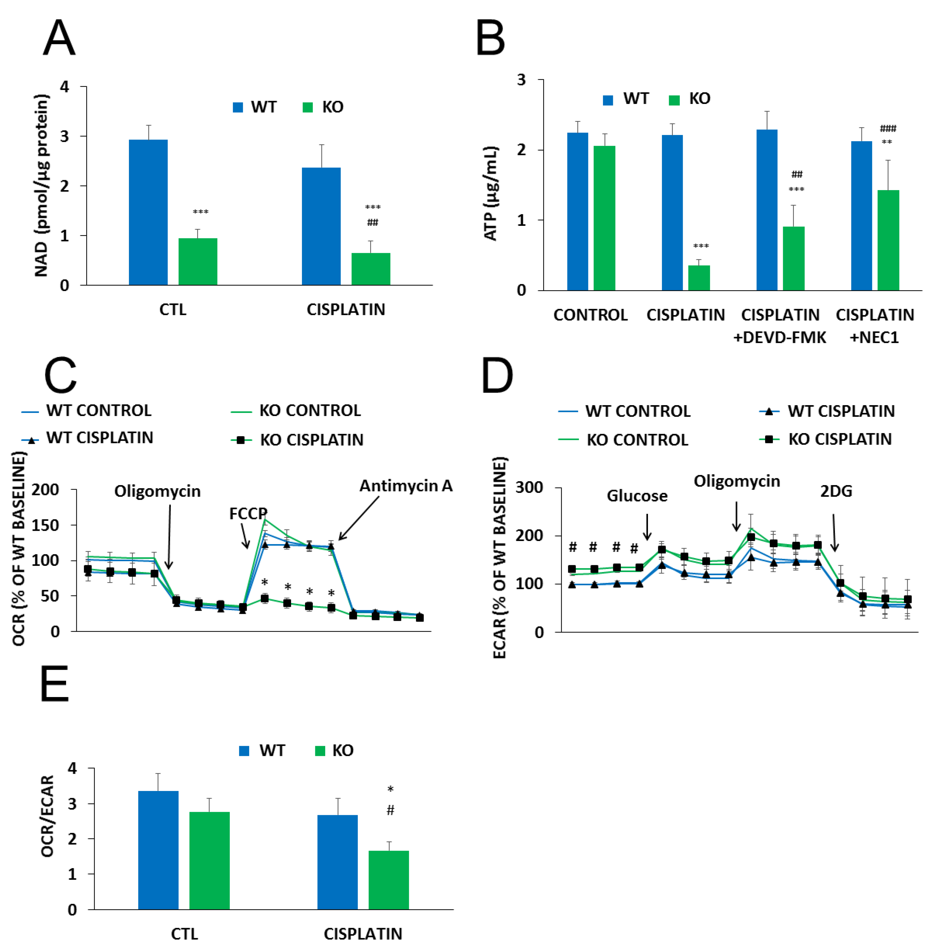 Cancers 12 01180 g004