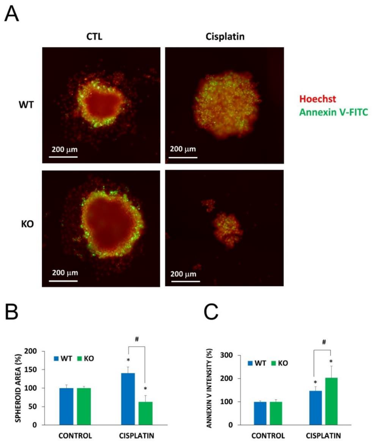 Cancers 12 01180 g006