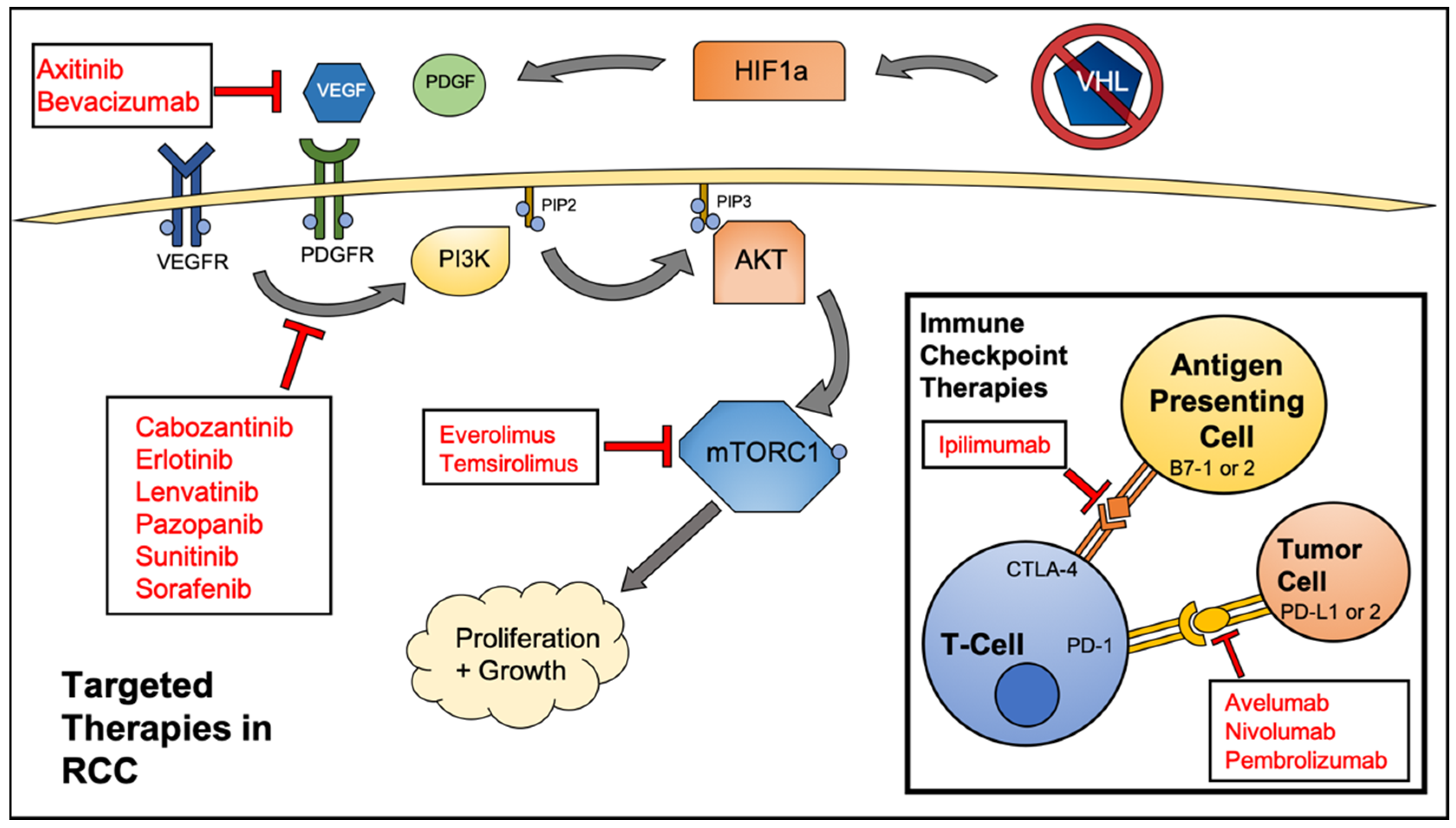 Cancers 12 01185 g001
